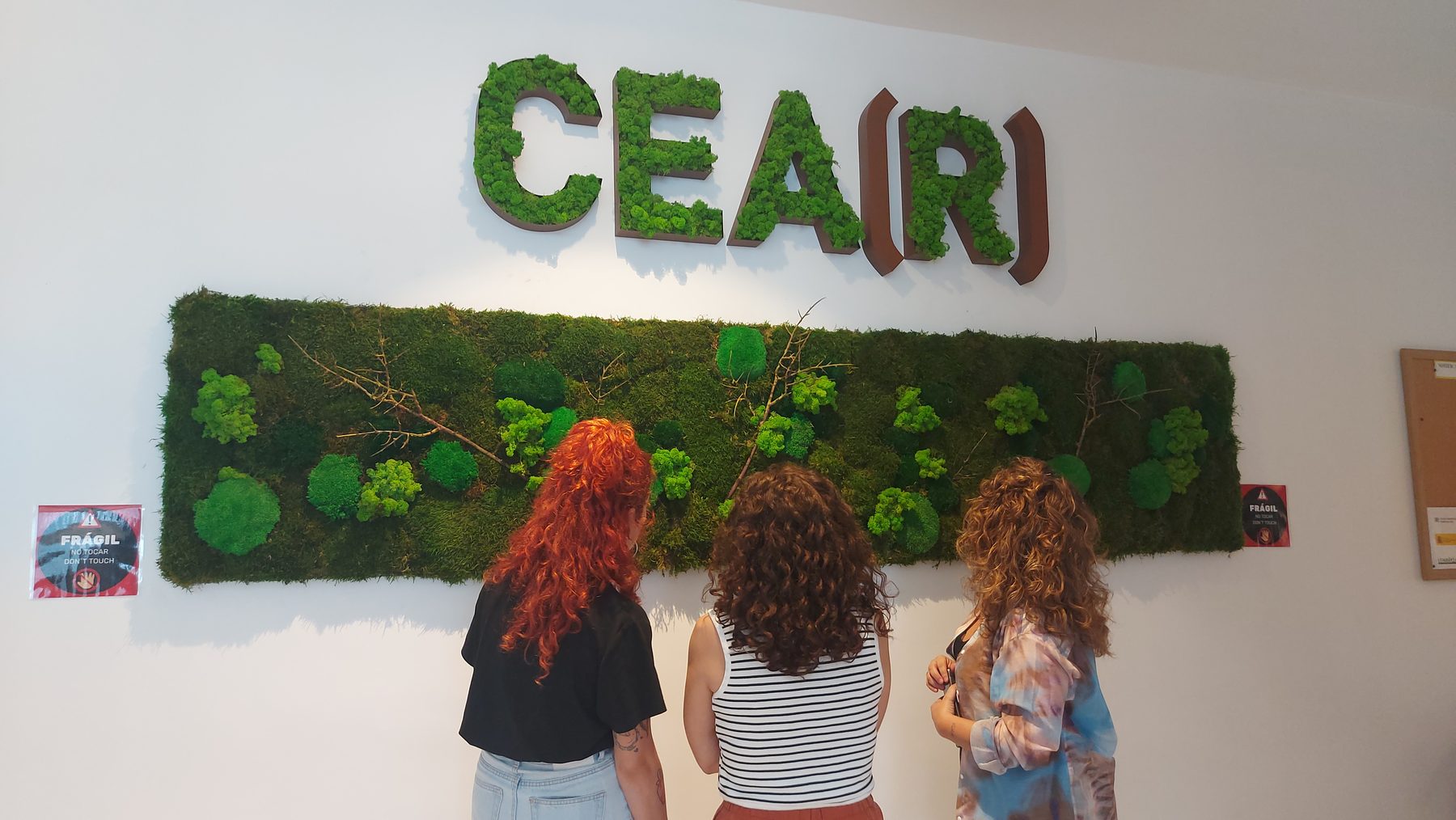 Jardín mediterráneo proyectado por Verde Consciente