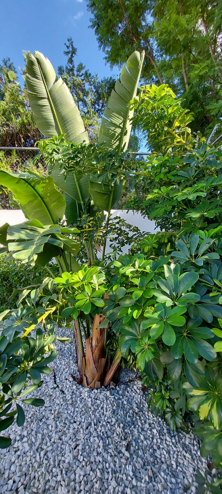 Jardín mediterráneo en Cantera Blanca — detalle 5