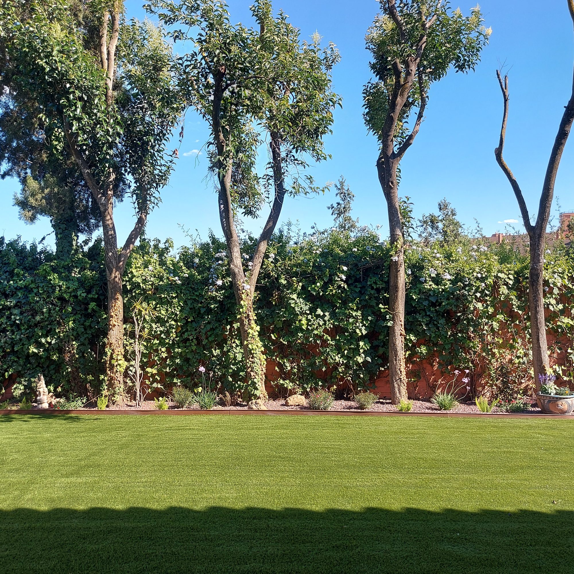 Transformación de jardín particular en Colina Blanca — Camas, Sevilla · fotografía 2
