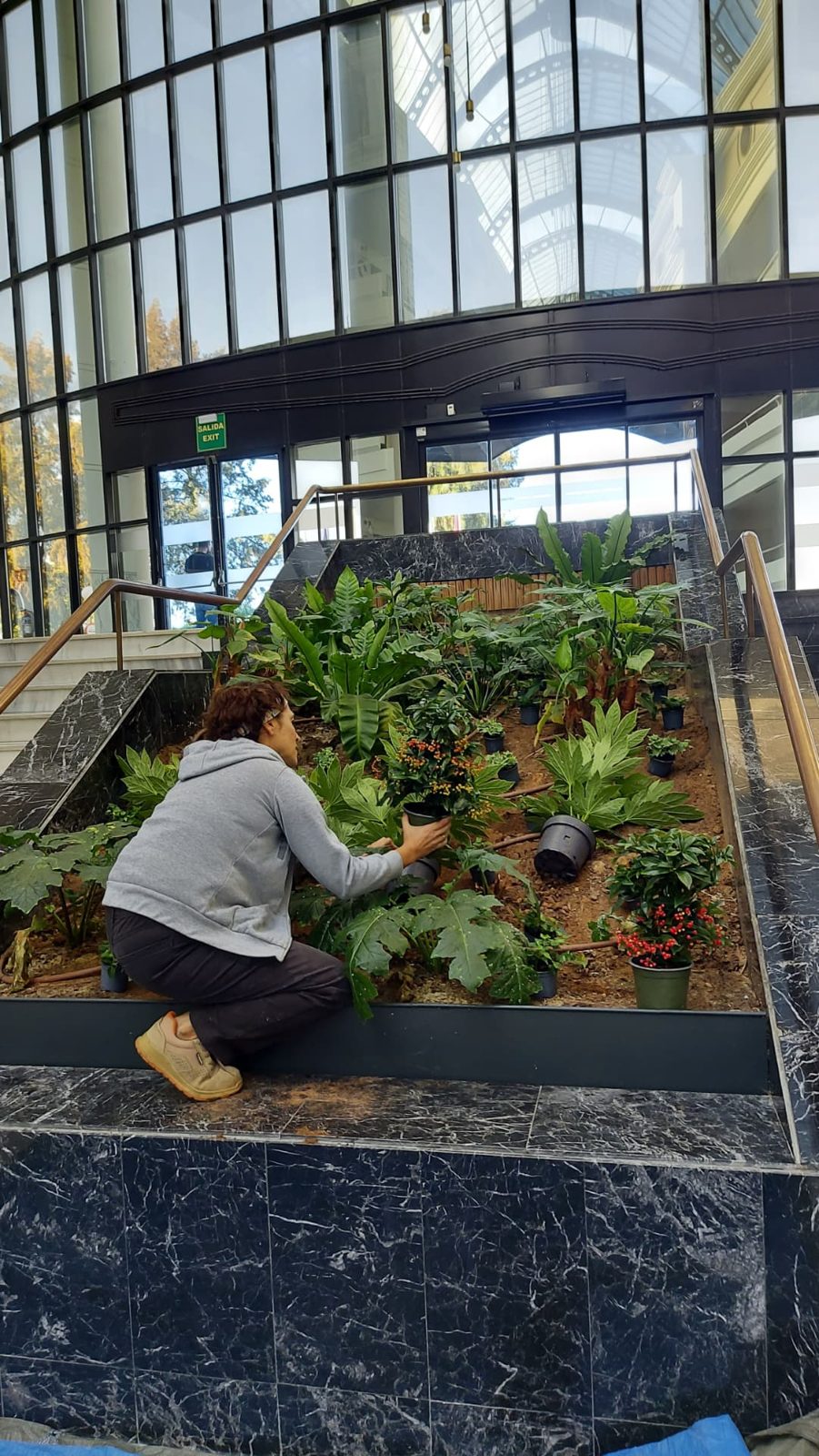 Replanteo en obra de la plantación de un jardín interior
