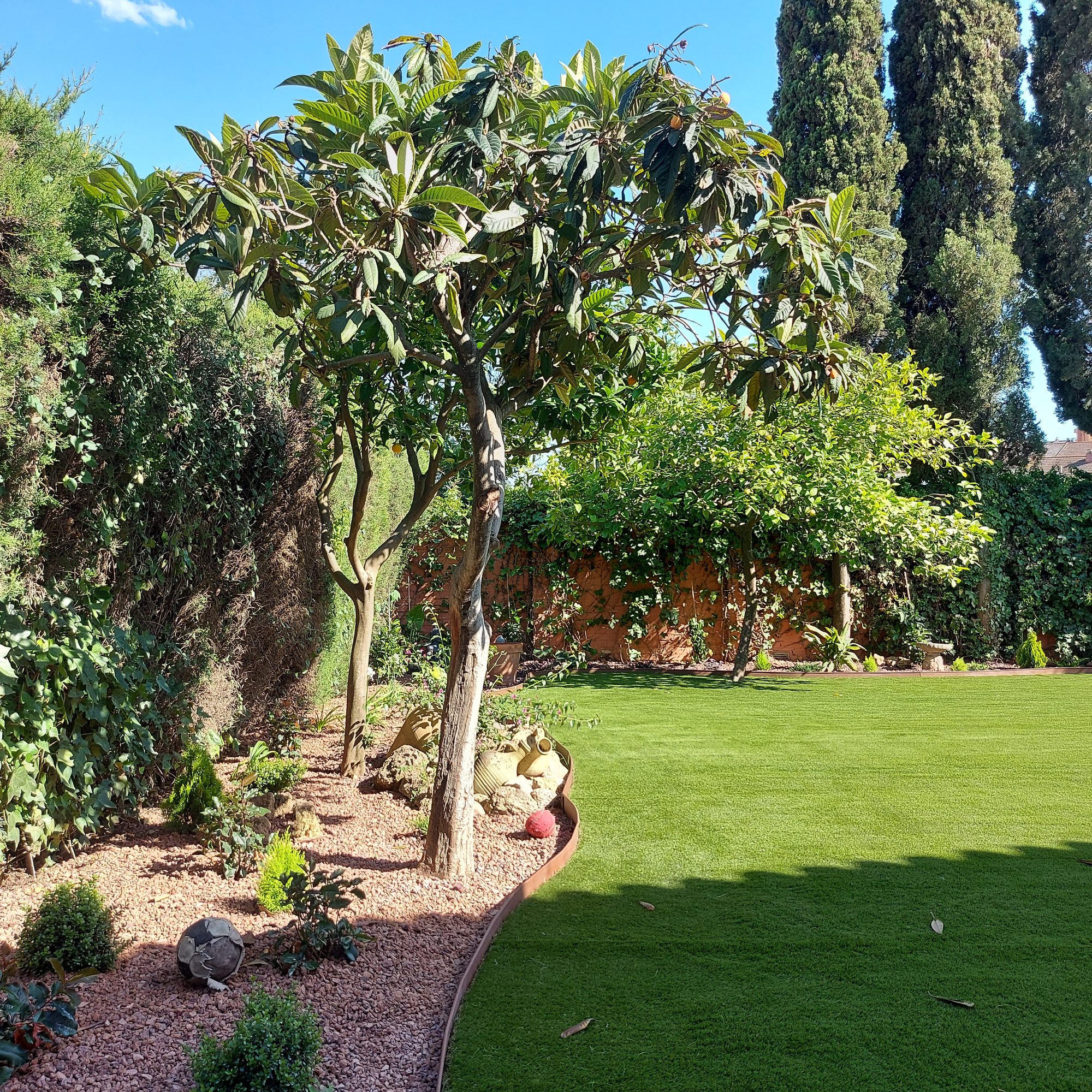 Transformación de jardín particular en Colina Blanca — Camas, Sevilla · fotografía 4