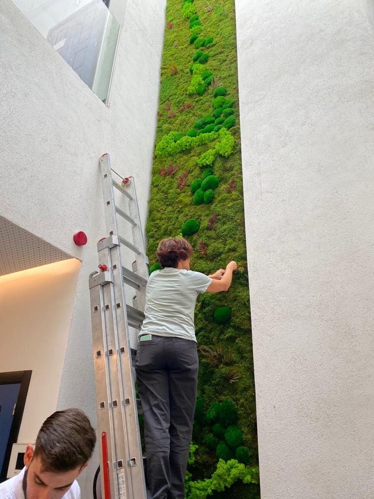 Jardín vertical preservado en el Hotel Cicerone · Barrio de Santa Cruz, Sevilla (imagen 7)