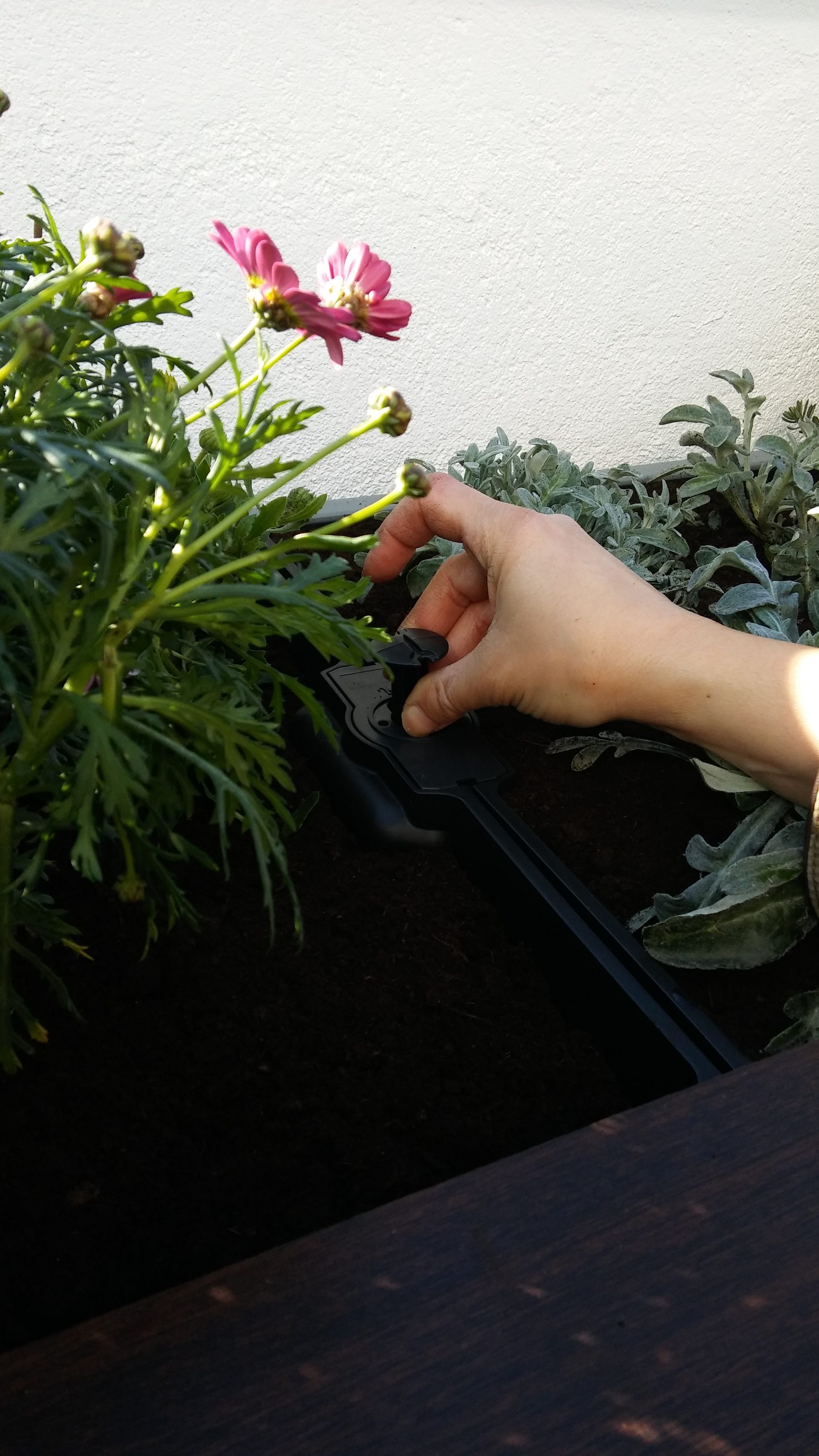 Vegetación y jardineras definidas junto al equipo de arquitectura