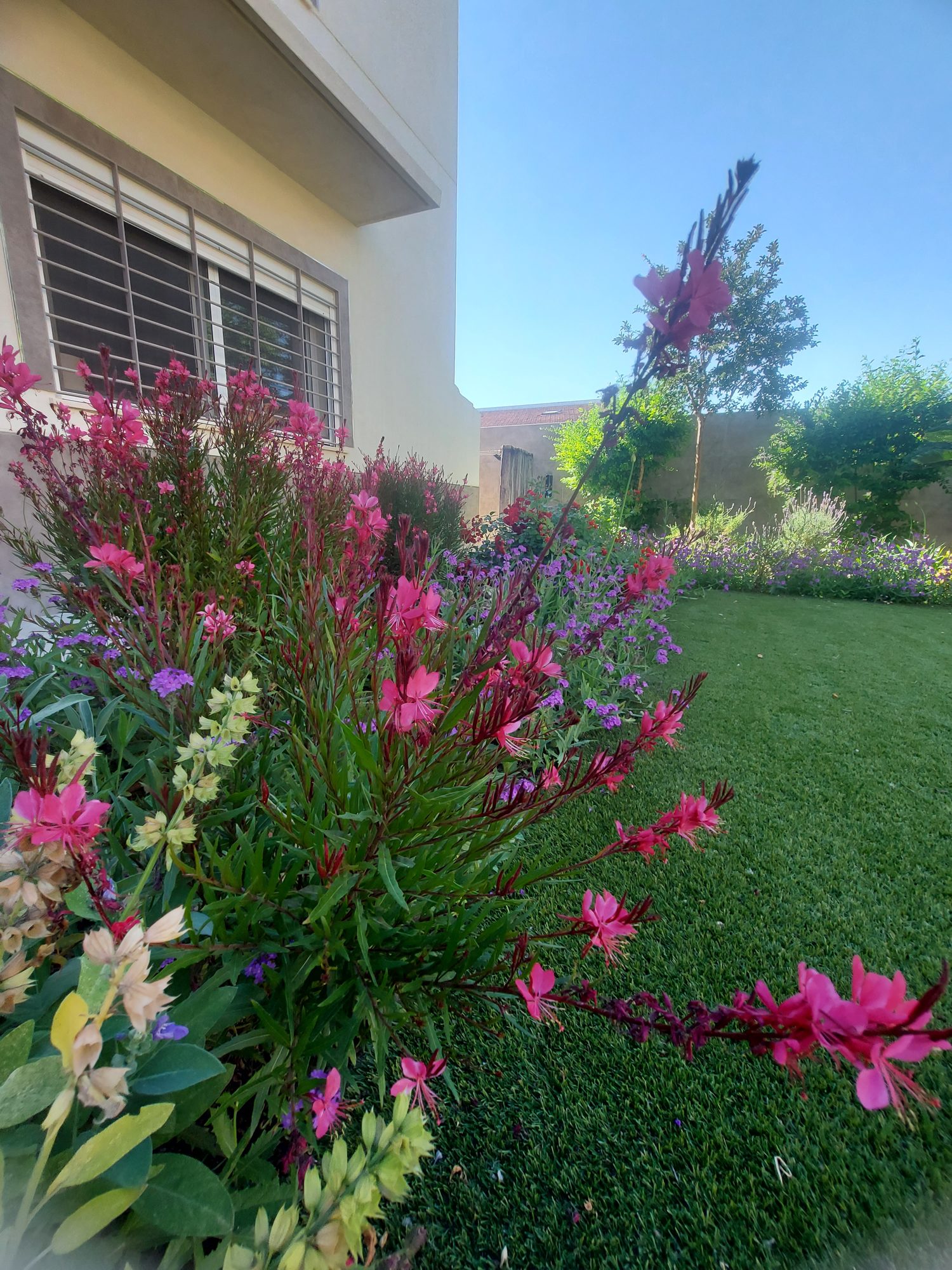 Jardín privado de carácter naturalista en el Aljarafe sevillano — Espartinas, Sevilla · fotografía 4