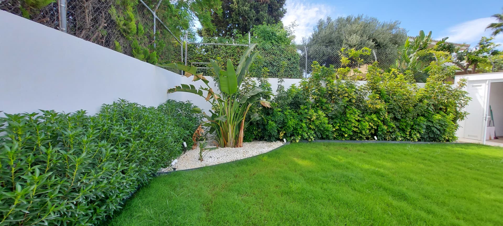 Jardín realizado por Verde Consciente con césped, seto y strelitzias