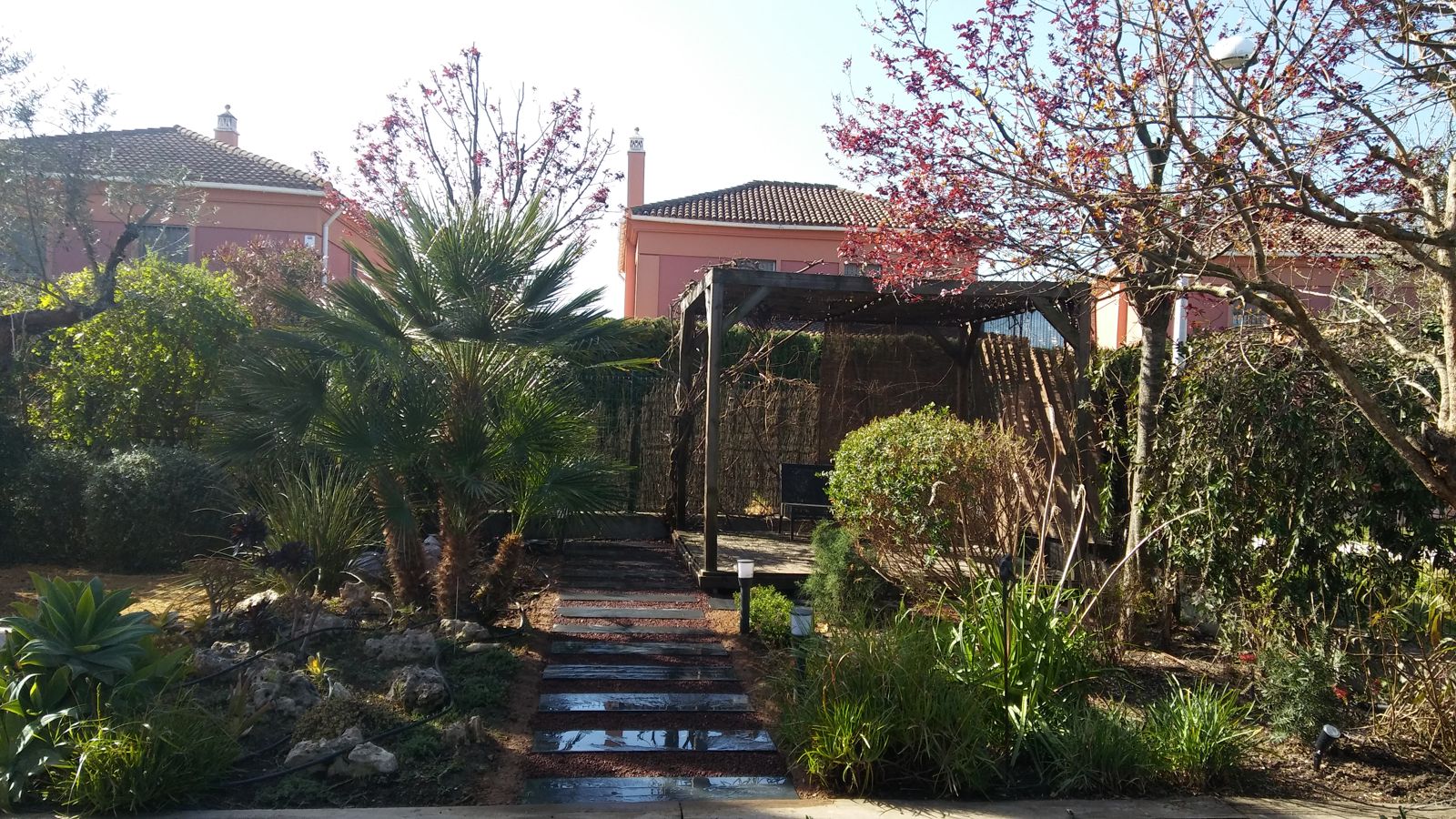 Reforma de jardín en Rosa de Luxemburgo — detalle 3