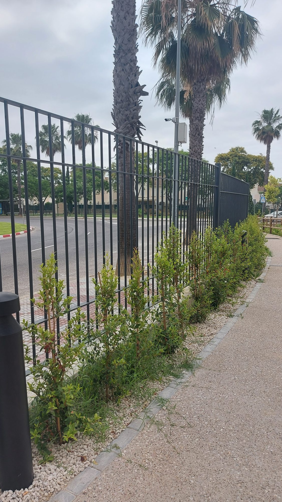 Jardín terapéutico Residencia Reifs — paisajismo de Verde Consciente en Sevilla (6)