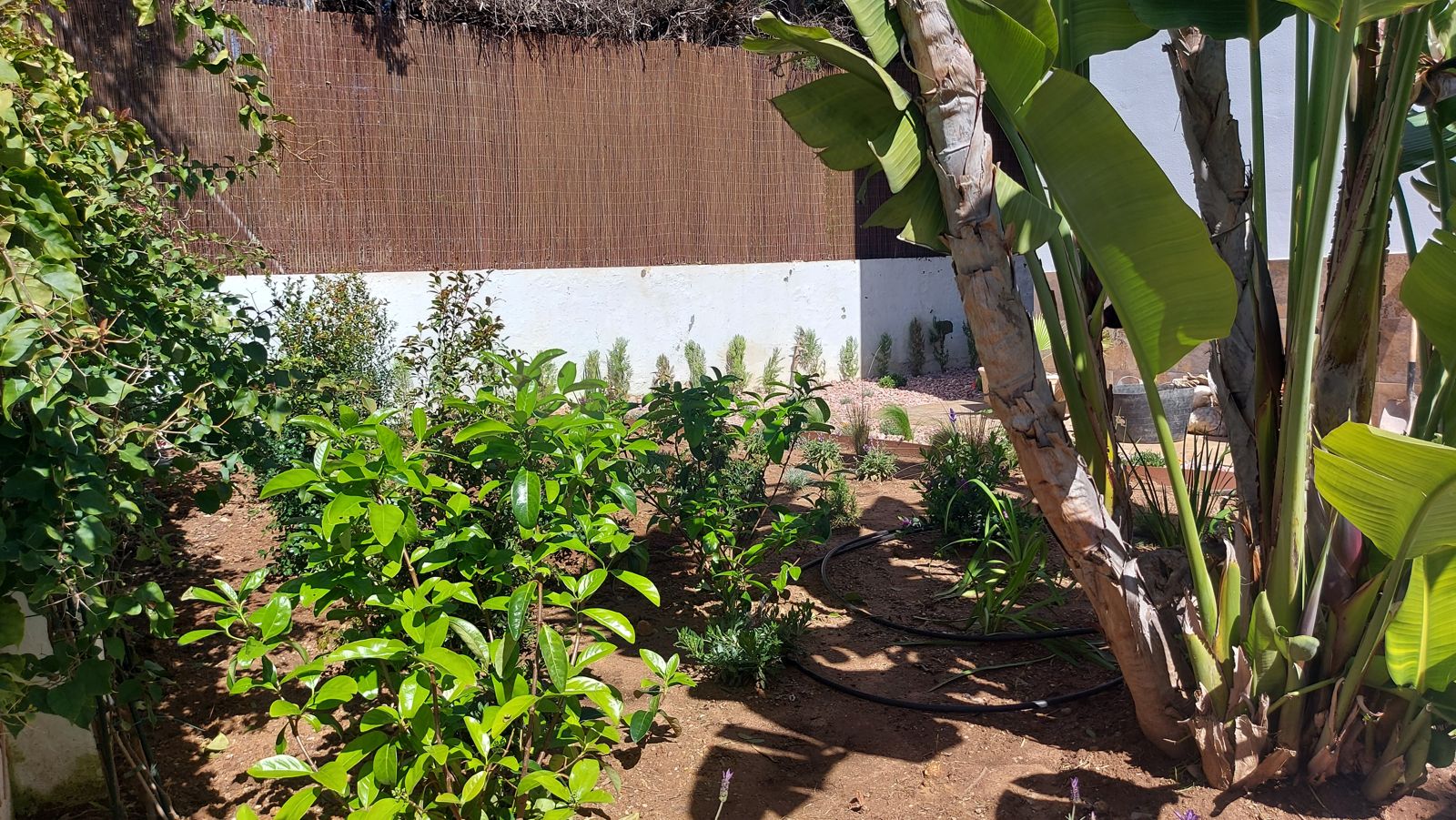 Jardín familiar con plantación naturalista en Espartinas — detalle 3