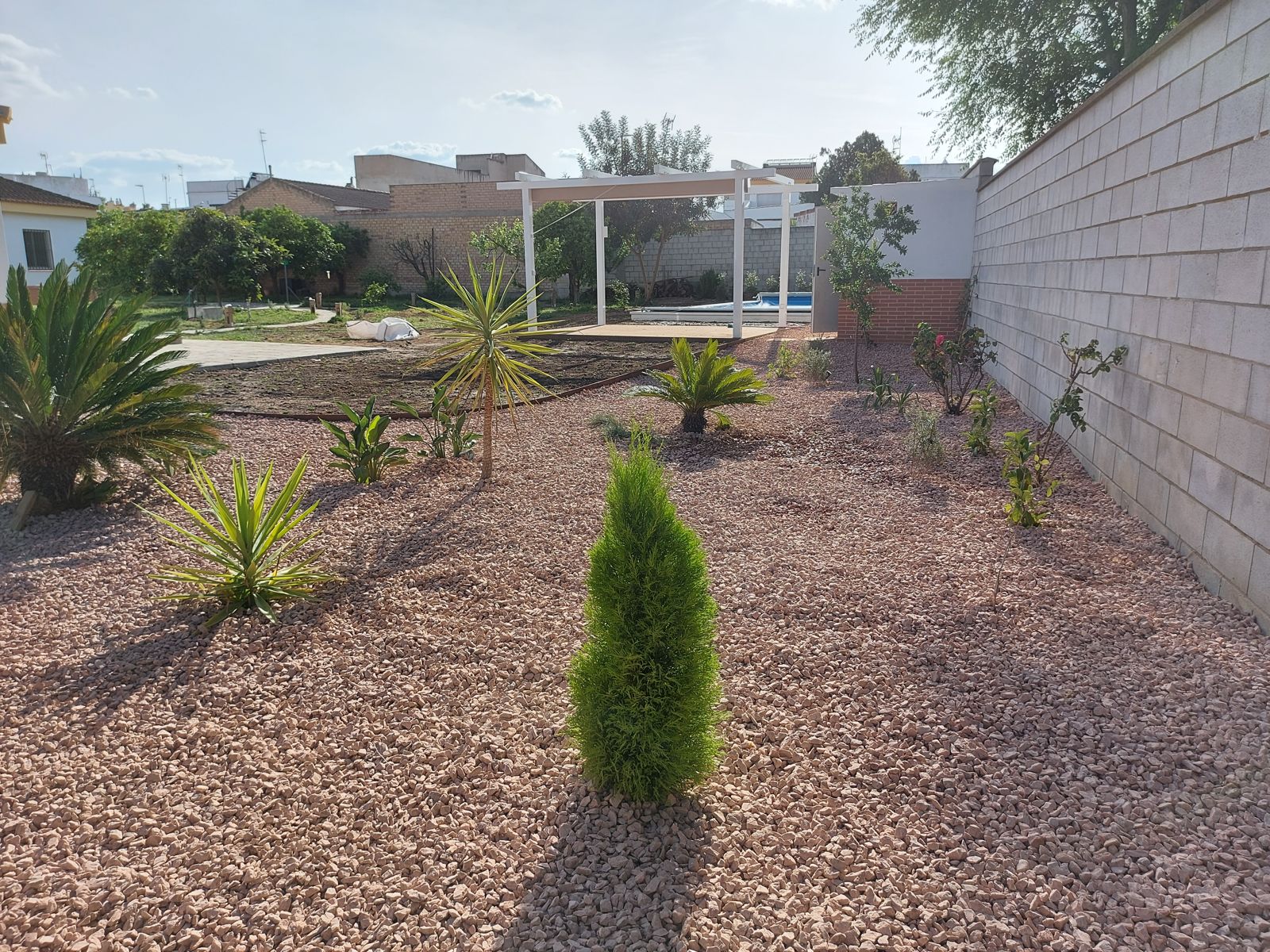 Creación de jardín en Villanueva del Ariscal — detalle 5