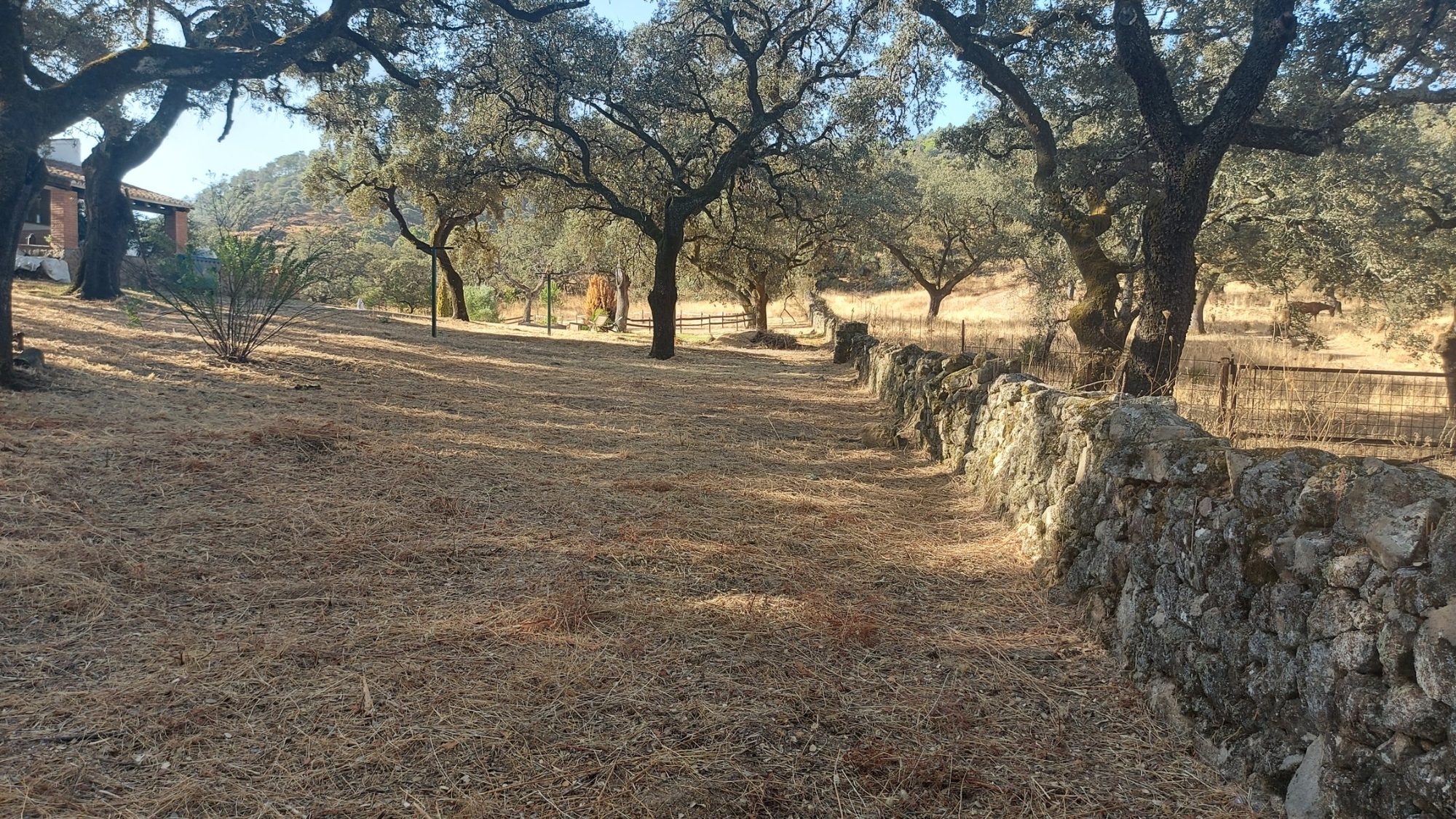 Paisajismo de la Casa Rural Arroyo de la Jara · Almonaster la Real, Huelva (imagen 2)
