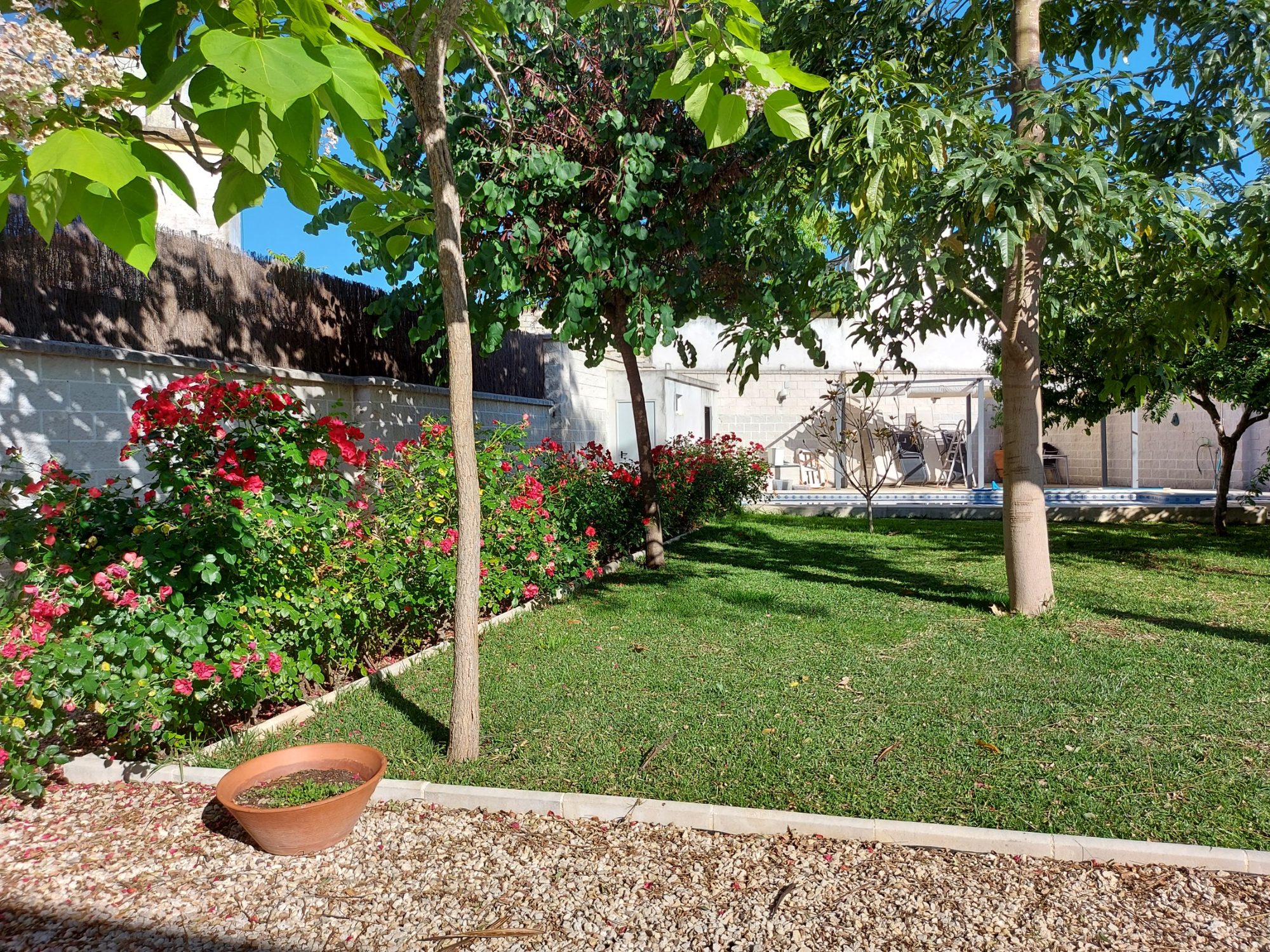 Renovar un jardín consolidado en Dos Hermanas · Dos Hermanas, Sevilla (imagen 2)