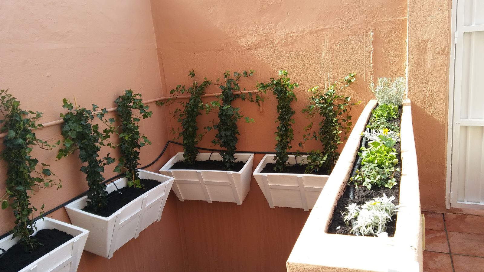 Patio andaluz en Tomares — detalle 2