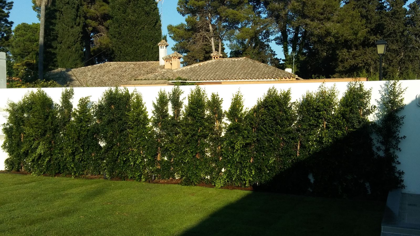 Jardín residencial con green de golf en Vistahermosa — detalle 2