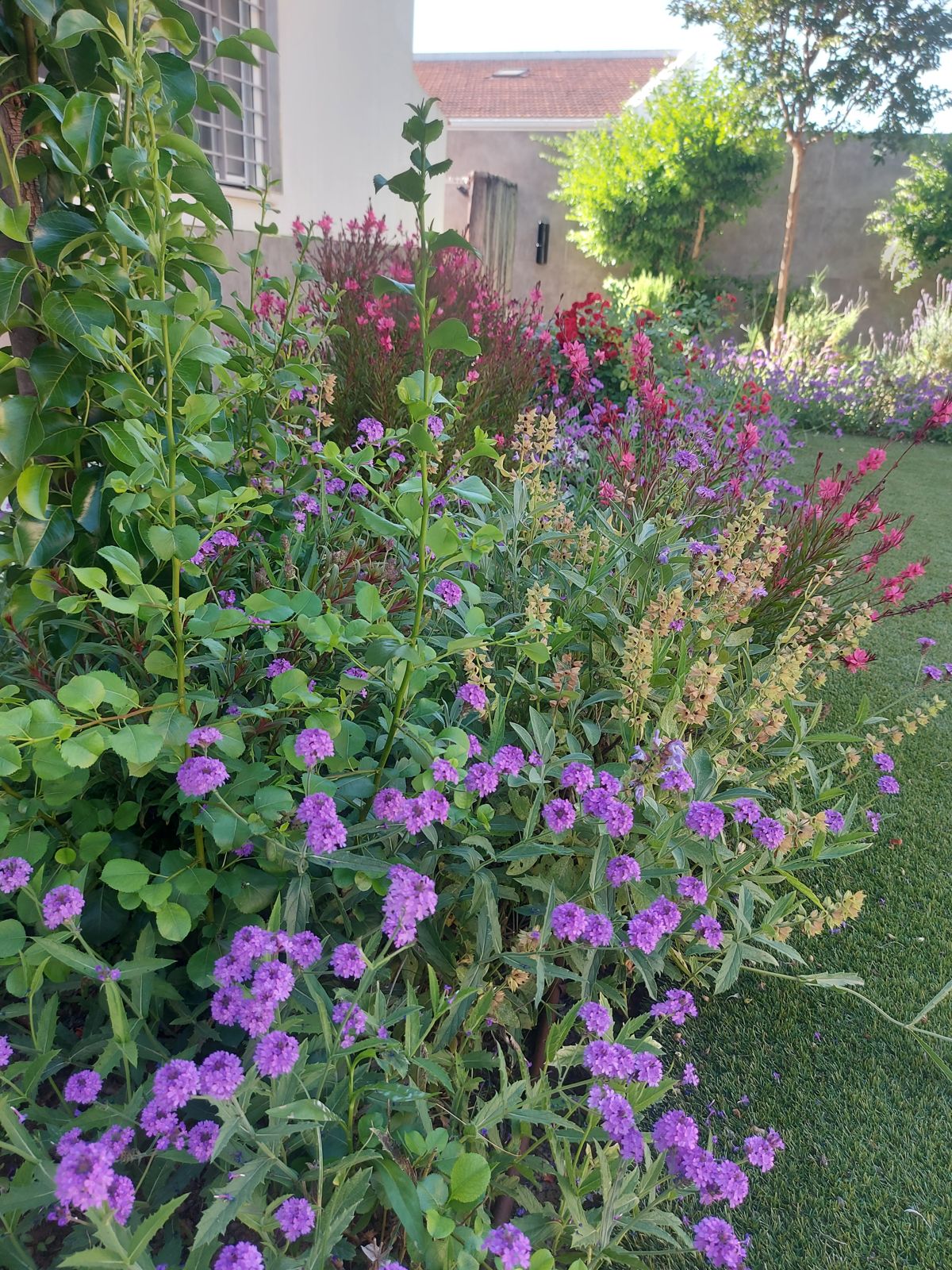 Jardín privado de carácter naturalista en el Aljarafe sevillano — detalle 5