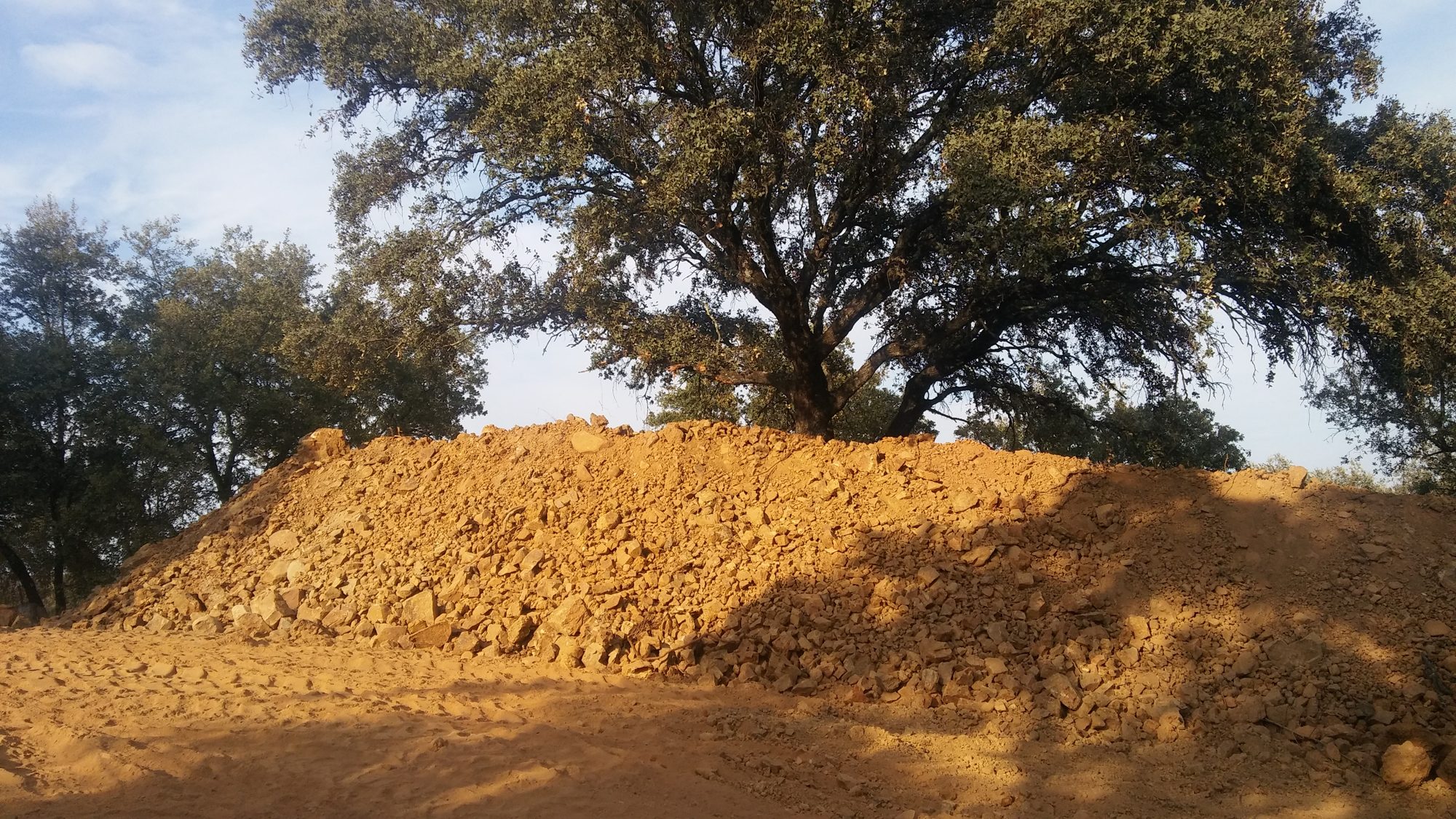 Paisajismo naturalizado en finca junto al embalse de Cala — Castilblanco de los Arroyos, Sevilla · fotografía 1