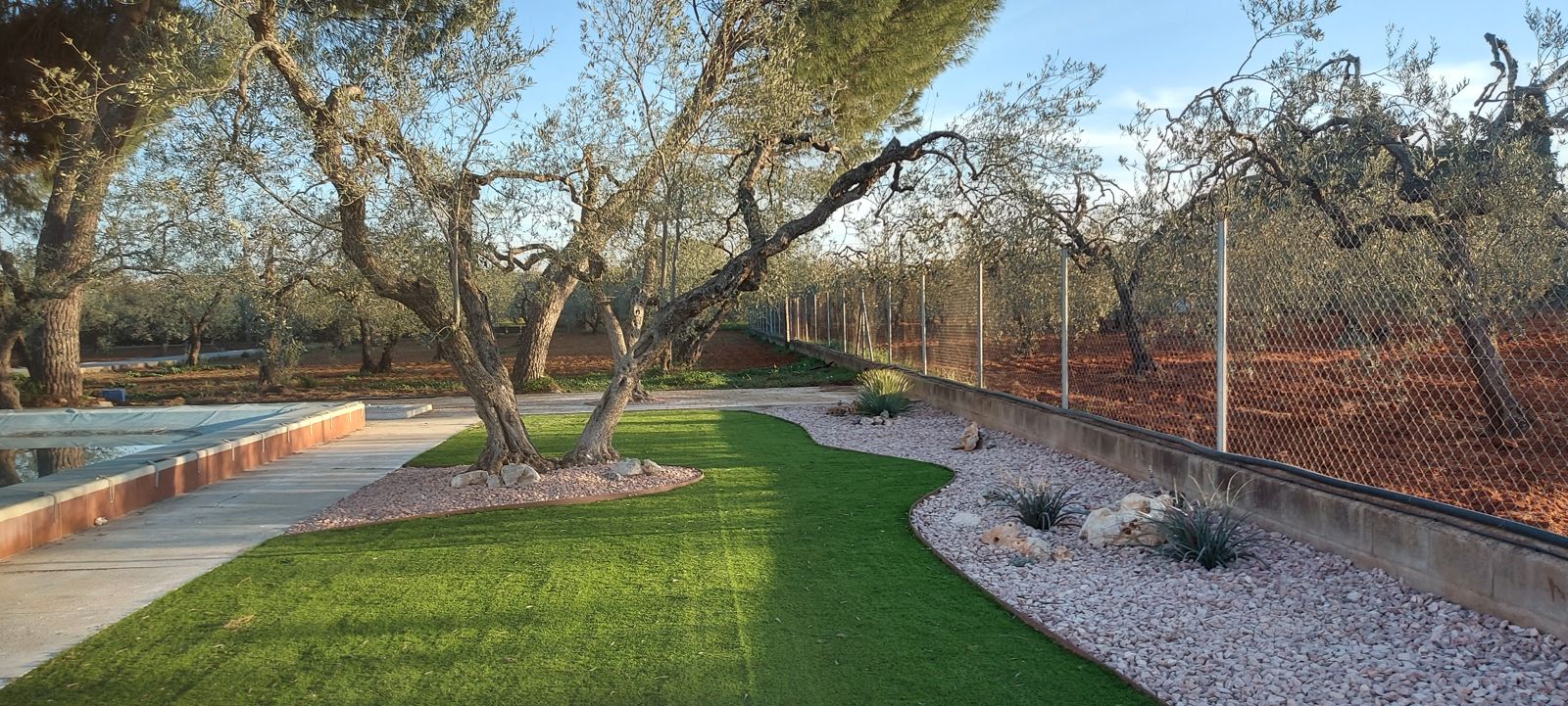 Jardín xerófilo entre olivos en Sanlúcar la Mayor — detalle 2