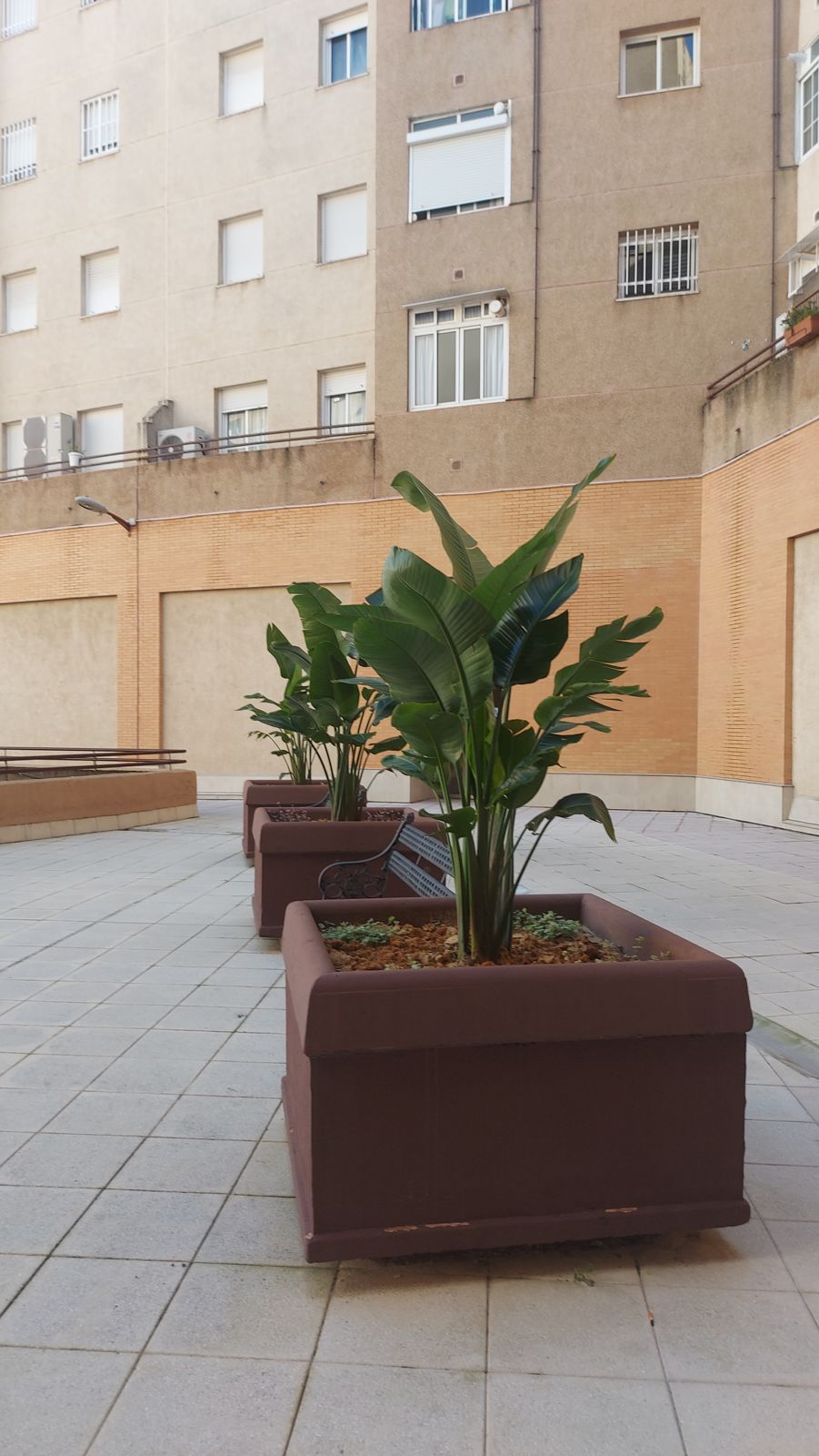 Zonas comunes de la comunidad Cónsul — detalle 5