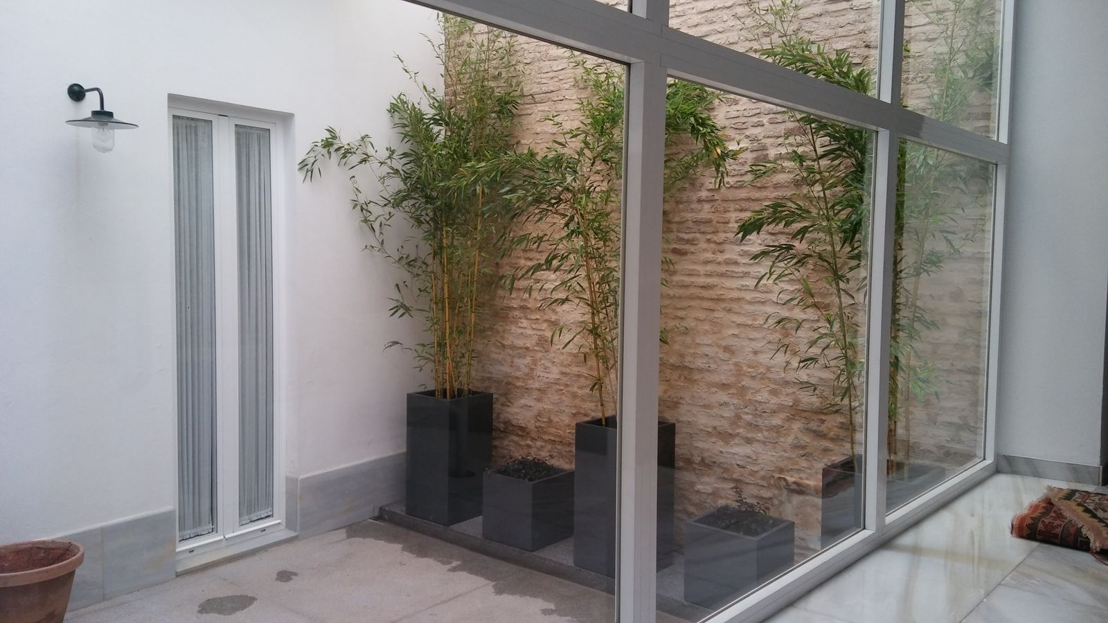 Patio en San Lorenzo — detalle 2