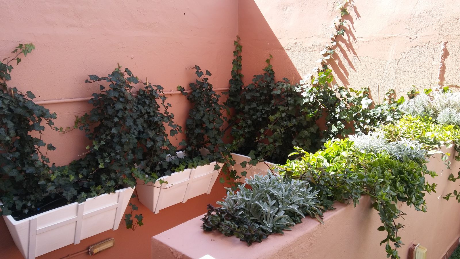 Patio andaluz en Tomares — detalle 5