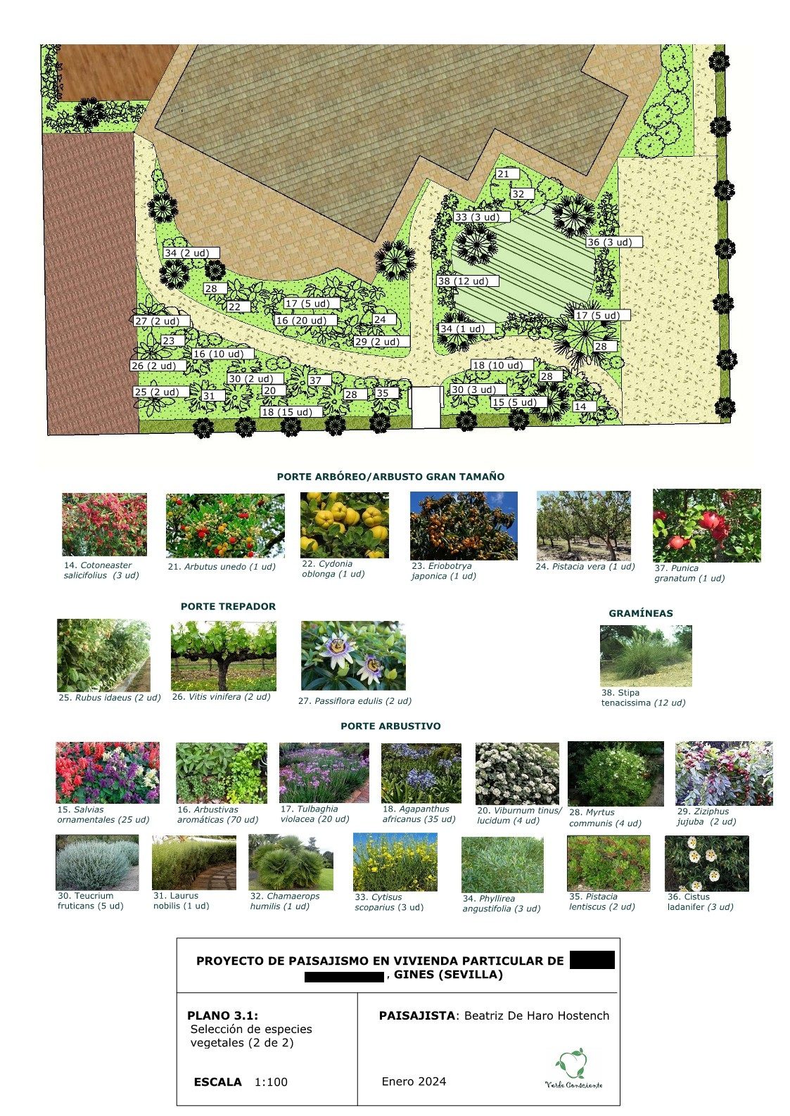 Diseño de jardín comestible en Gines · Gines, Sevilla (imagen 2)