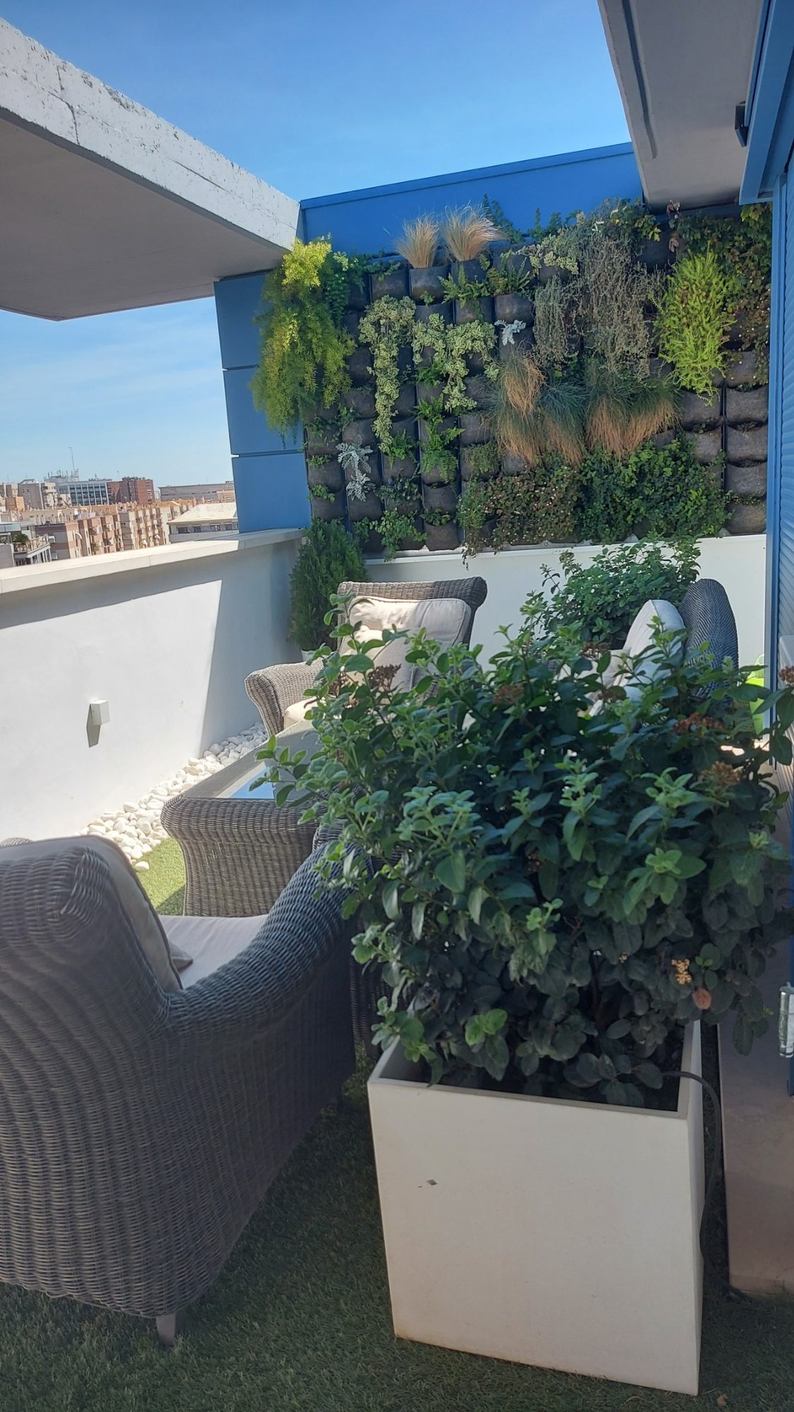 Paisajismo y naturalización de un ático en La Buhaira · La Buhaira, Sevilla (imagen 7)