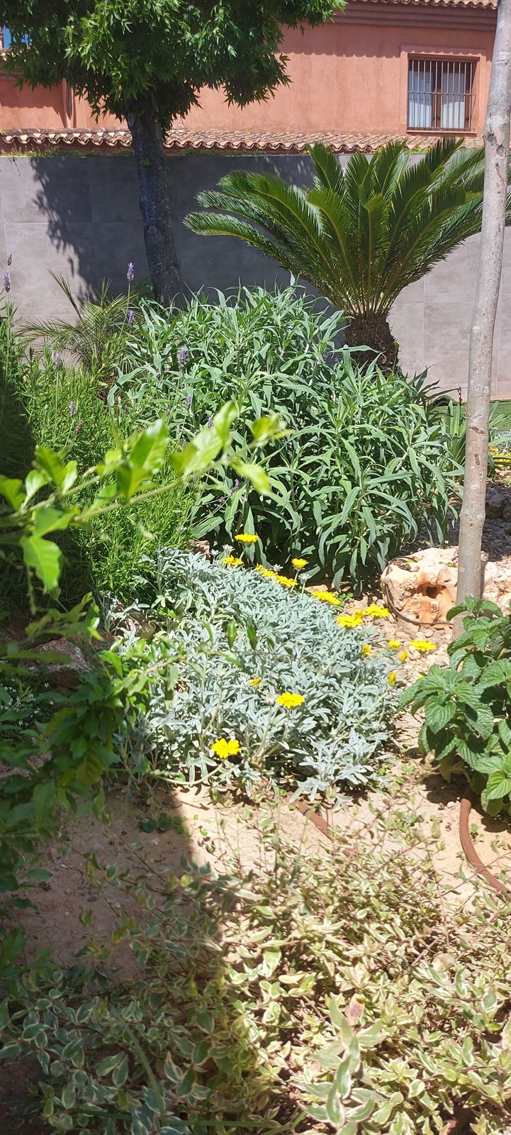 Jardín privado de carácter naturalista en el Aljarafe sevillano
