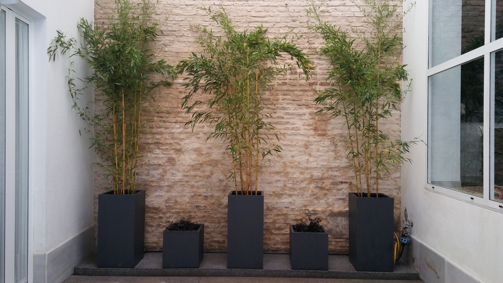 Patio en San Lorenzo
