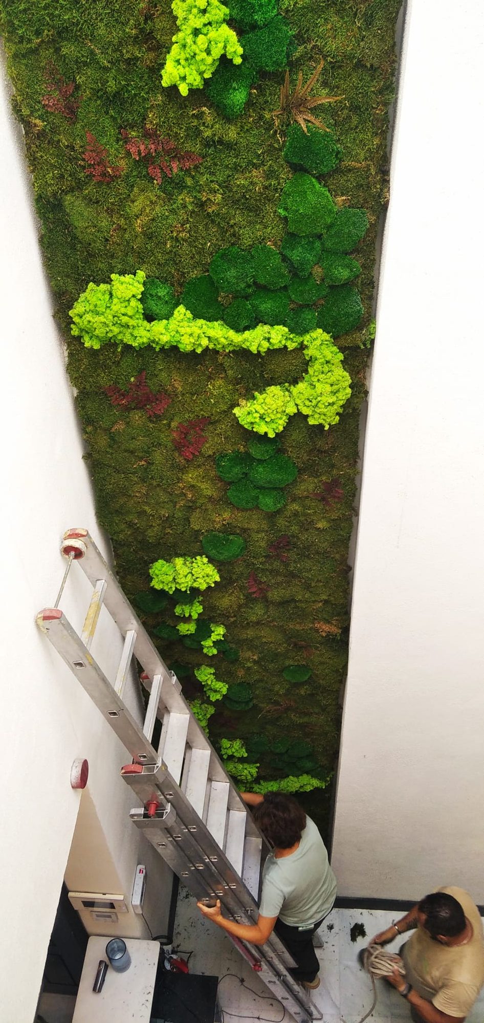 Jardín vertical preservado en el Hotel Cicerone · Barrio de Santa Cruz, Sevilla (imagen 5)