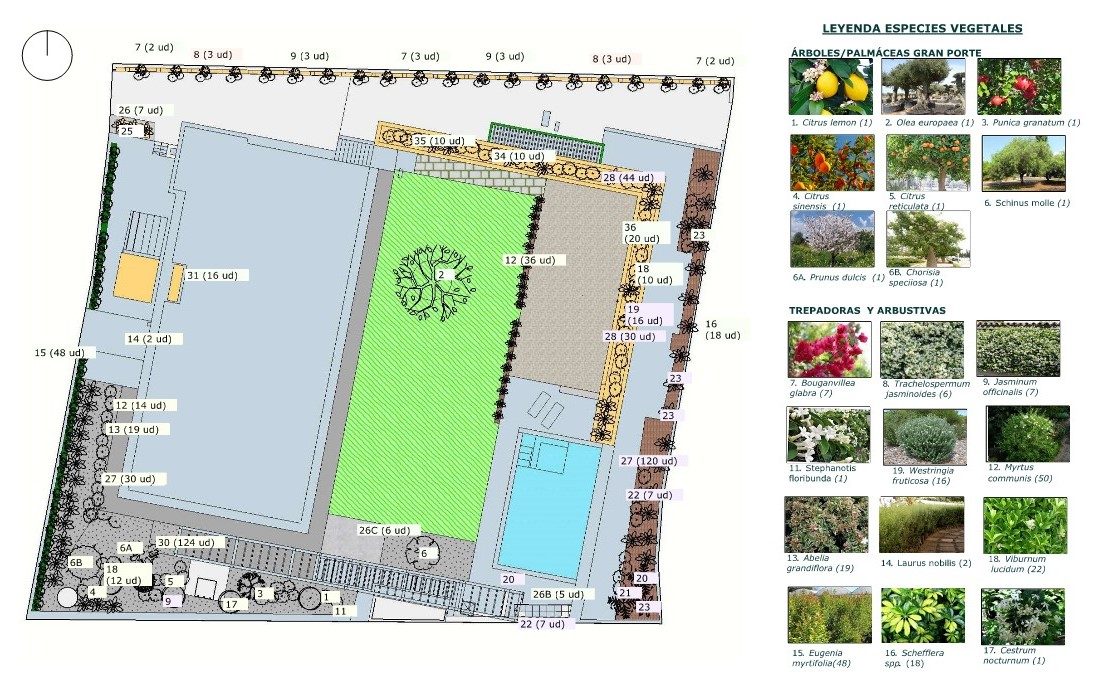 Proyecto de paisajismo para vivienda desarrollado por Verde Consciente