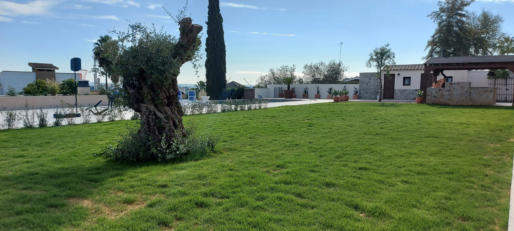 Espacio exterior privado resuelto desde la oficina técnica