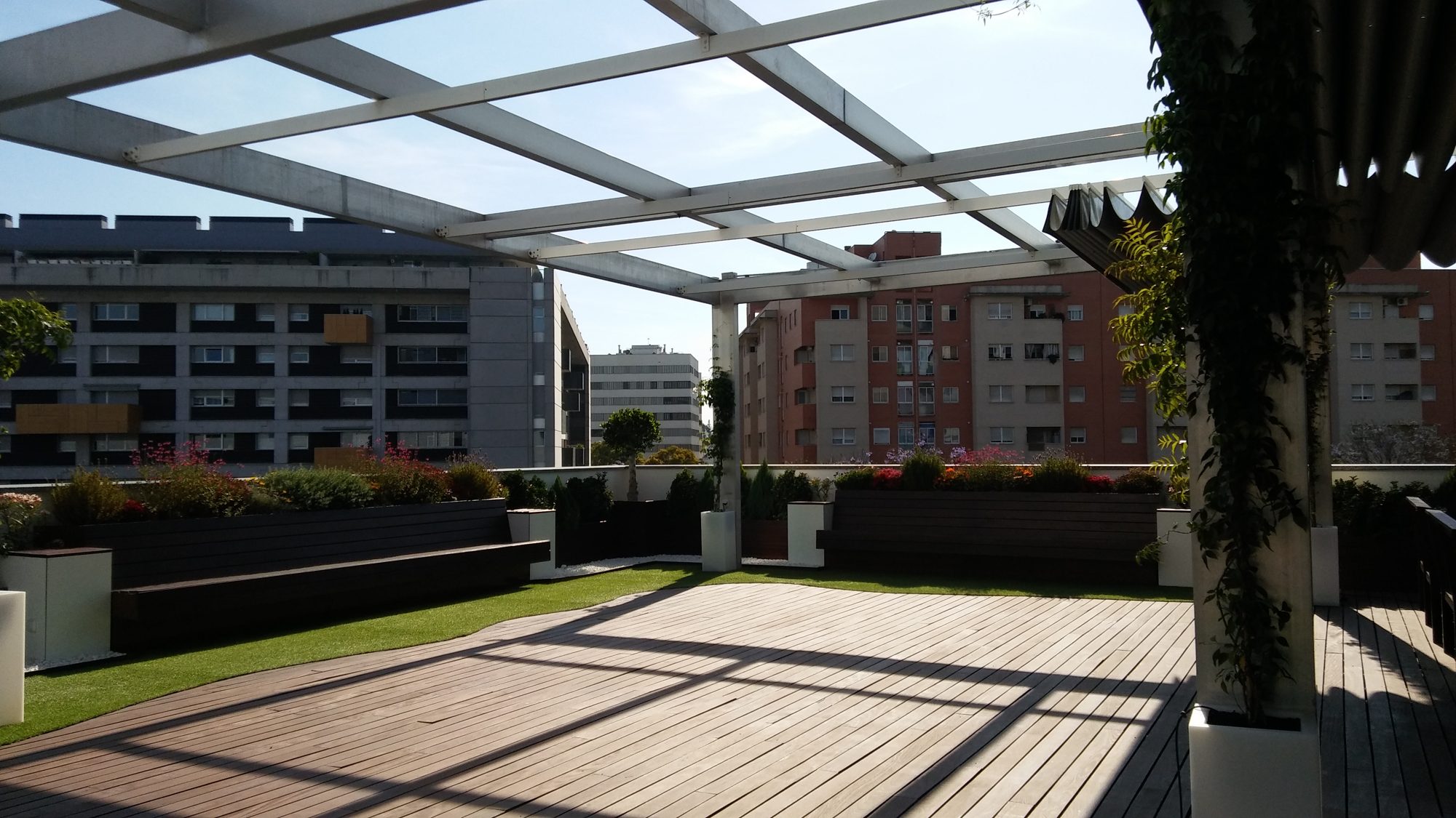 Oficinas ODF Insur — paisajismo de Verde Consciente en Sevilla (7)
