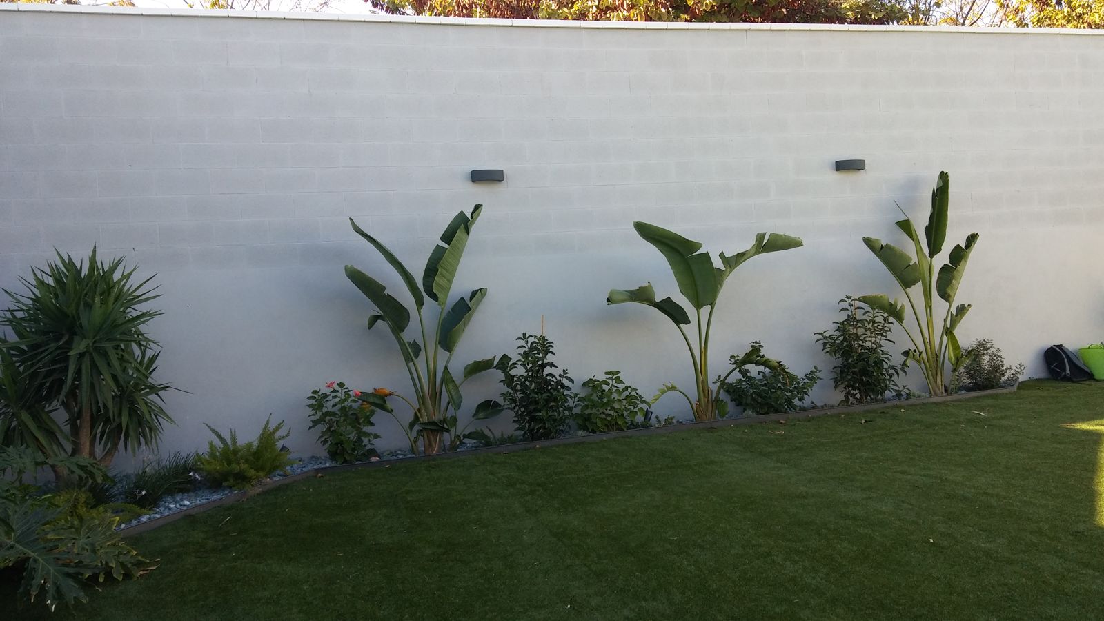 Jardín pequeño en Tomares — detalle 6