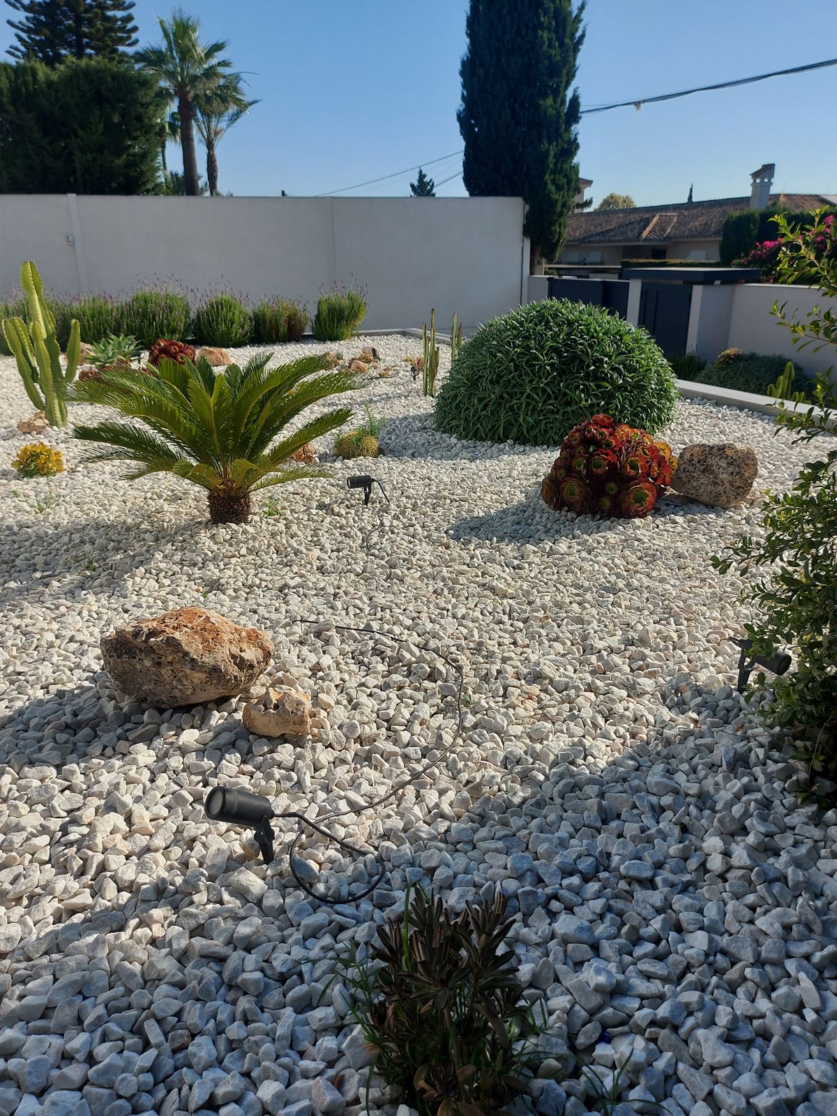 Jardín xerófilo en Tomares