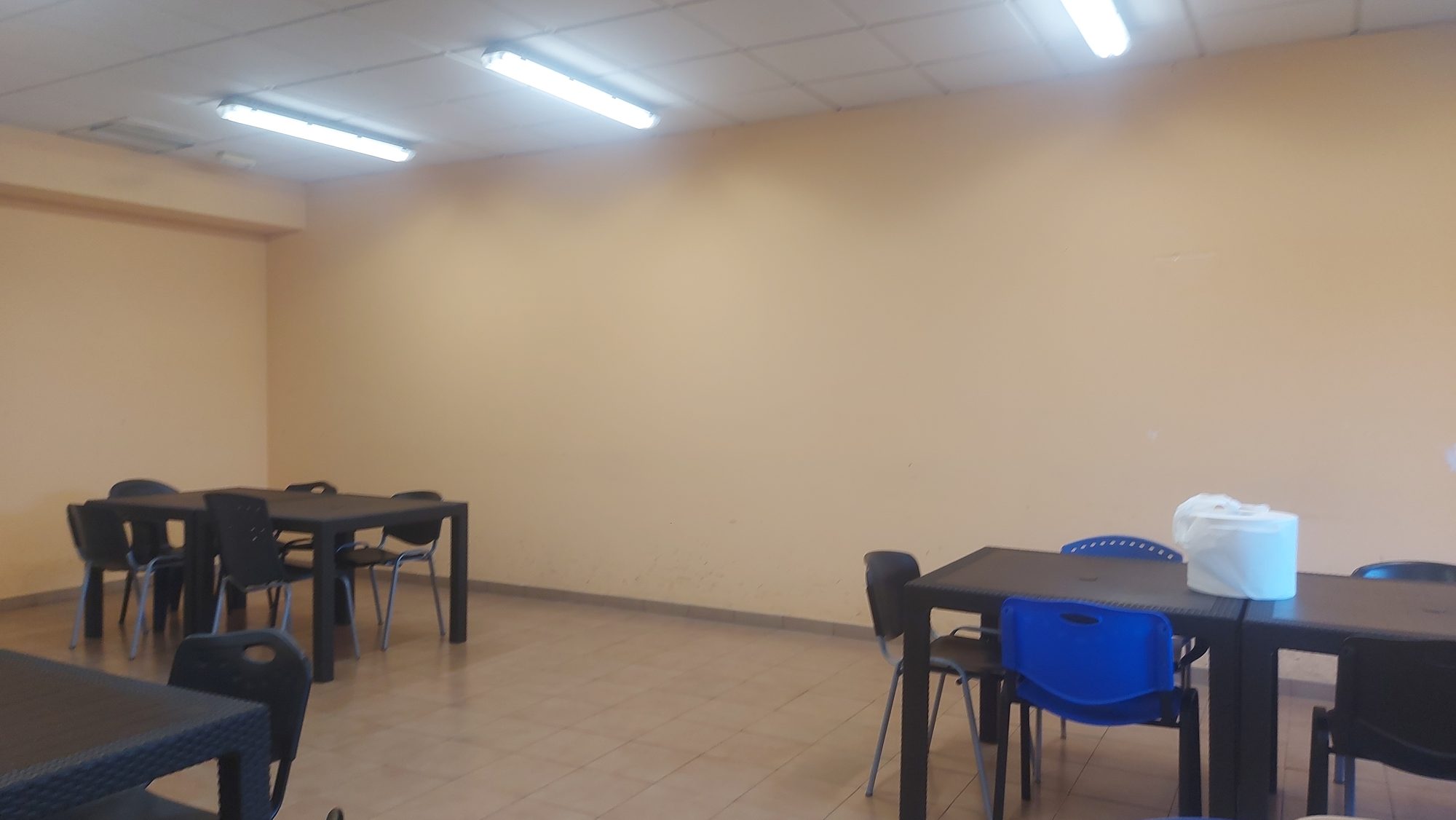 Paisajismo interior para la sede de Hispacold · Zona Franca del Puerto de Sevilla (imagen 2)