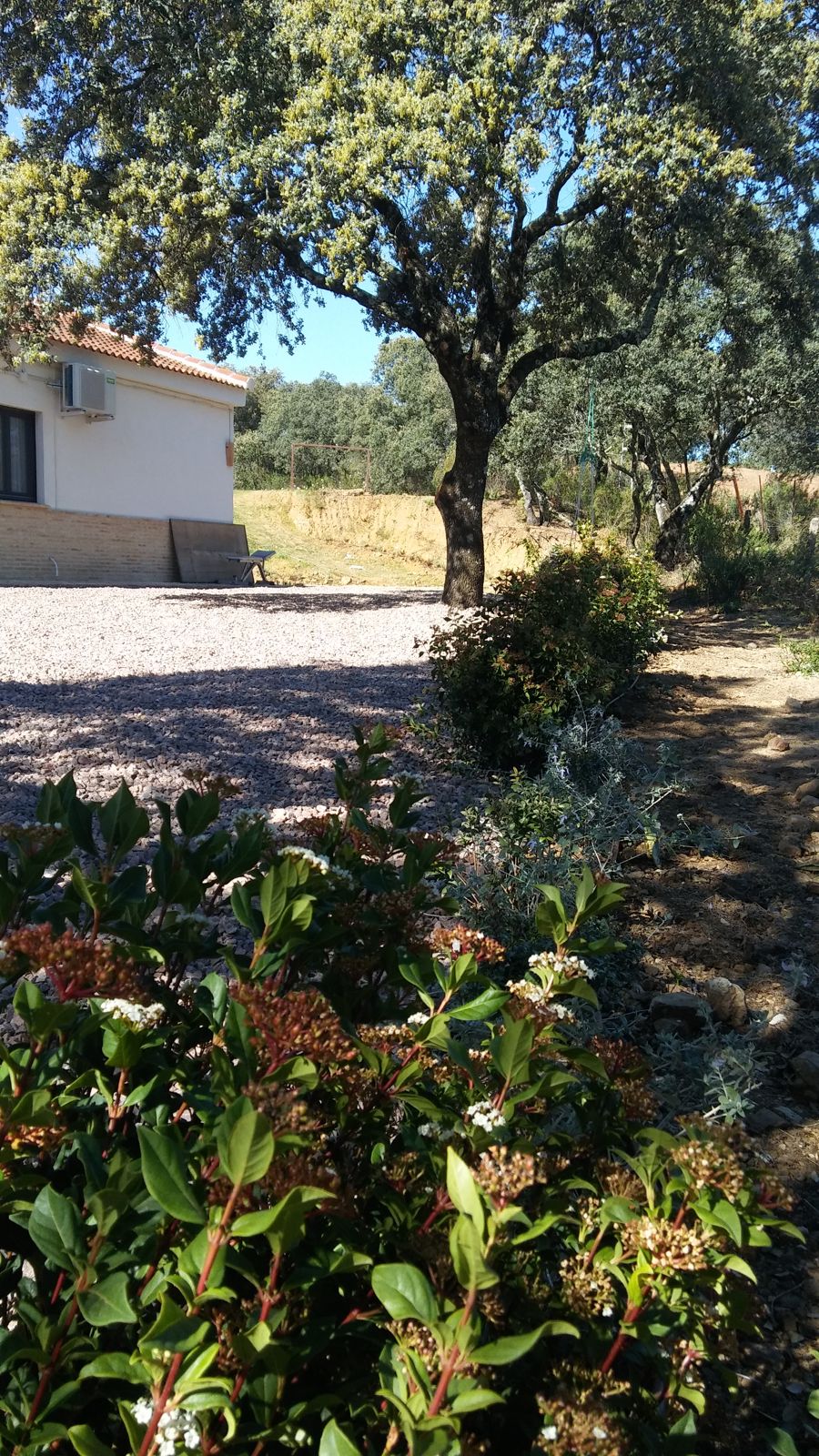 Paisajismo naturalizado en finca junto al embalse de Cala — detalle 3
