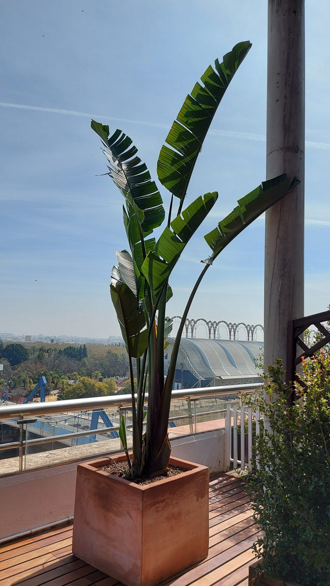 Espacio corporativo ADM — paisajismo de Verde Consciente en Sevilla (4)