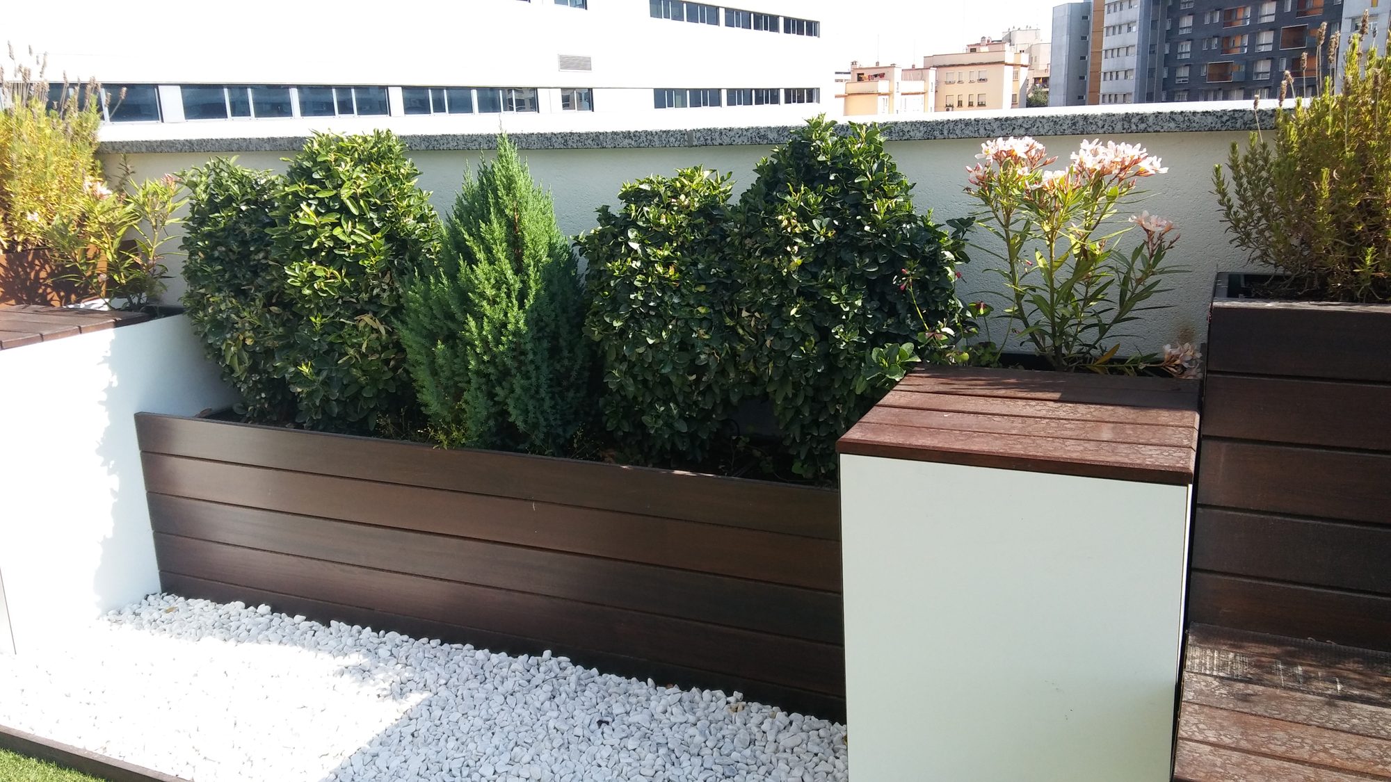 Oficinas ODF Insur — paisajismo de Verde Consciente en Sevilla (5)