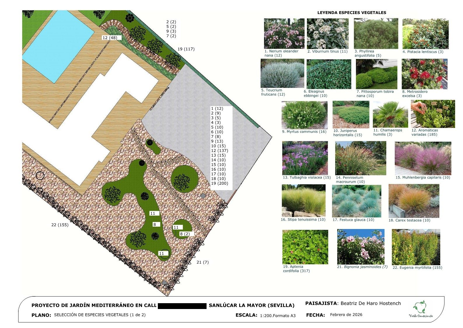 Jardín mediterráneo en Avutarda 11 · Sanlúcar la Mayor, Sevilla (imagen 5)