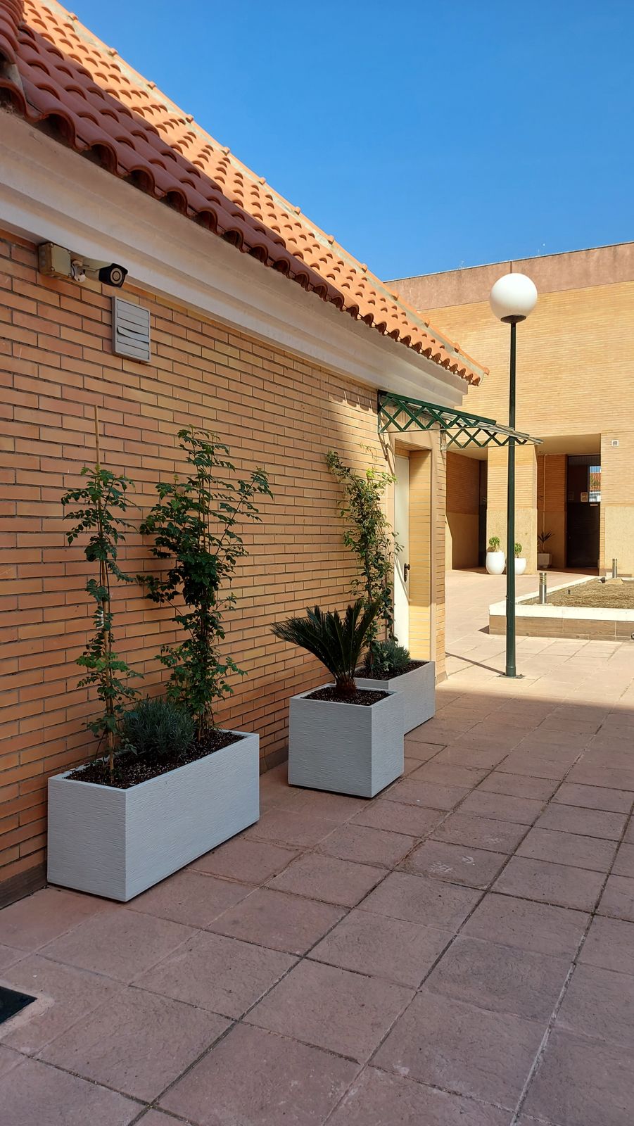 Ajardinamiento de la comunidad Covadonga — detalle 8
