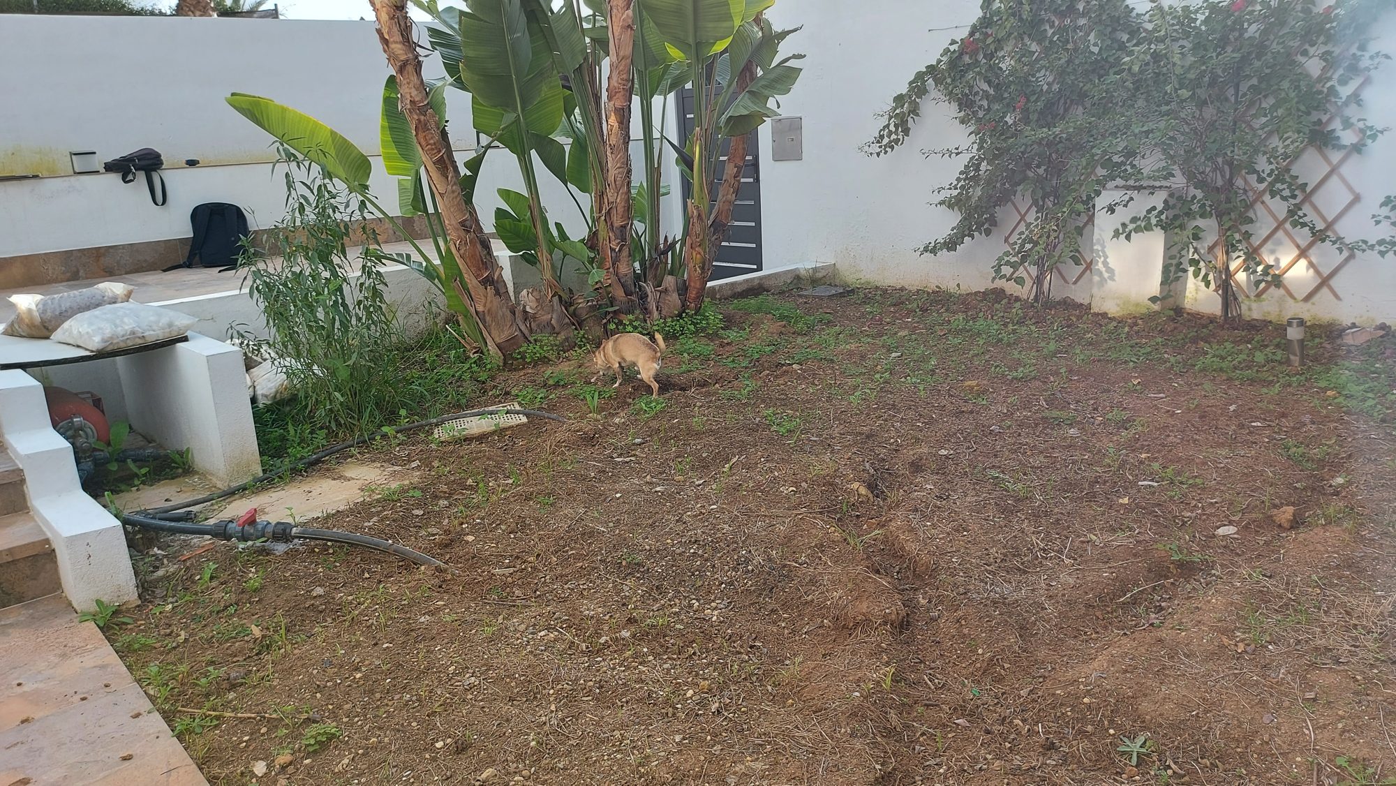 Jardín familiar con plantación naturalista en Espartinas — Espartinas, Sevilla · fotografía 7