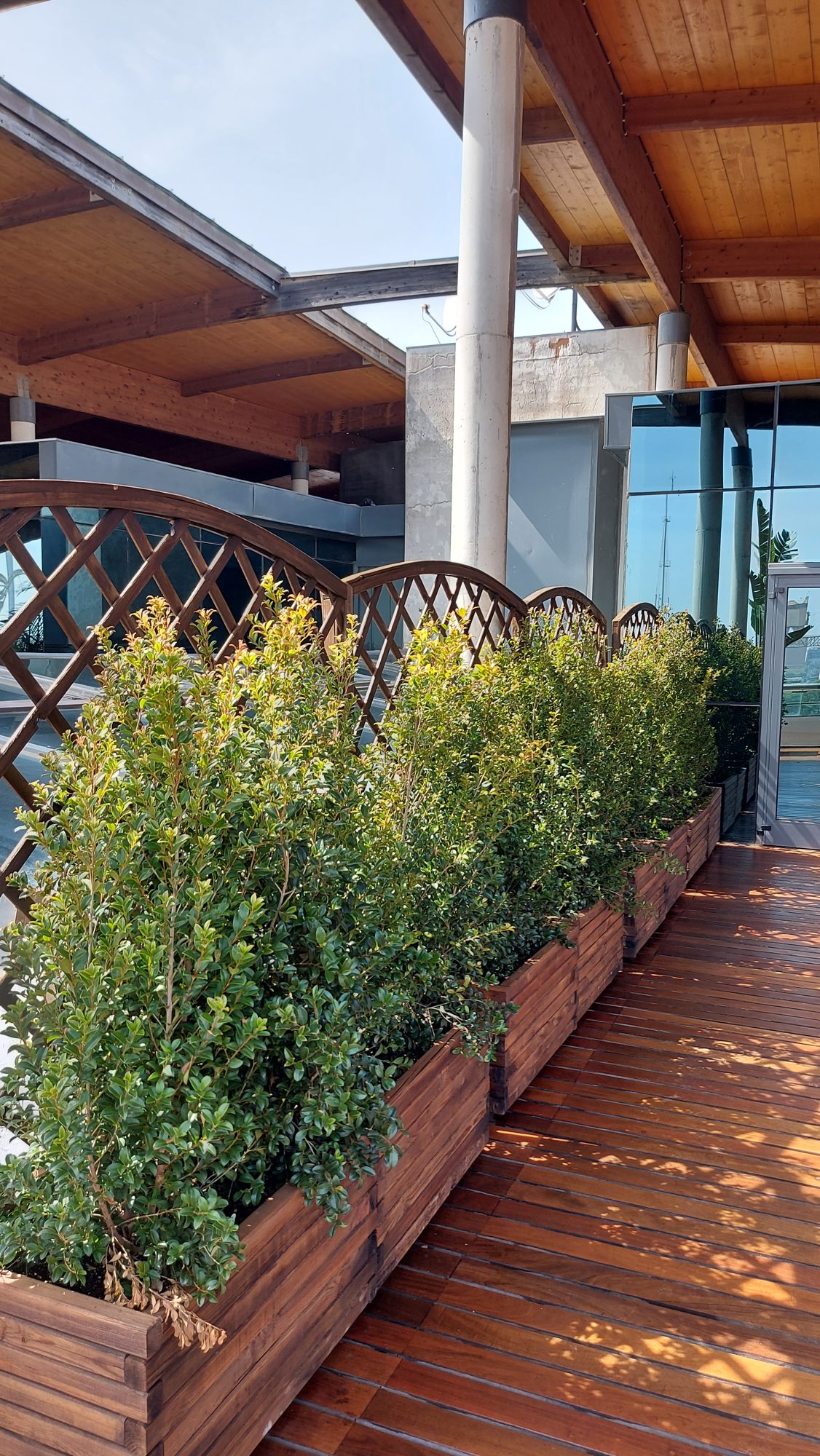 Espacio corporativo ADM — paisajismo de Verde Consciente en Sevilla (3)