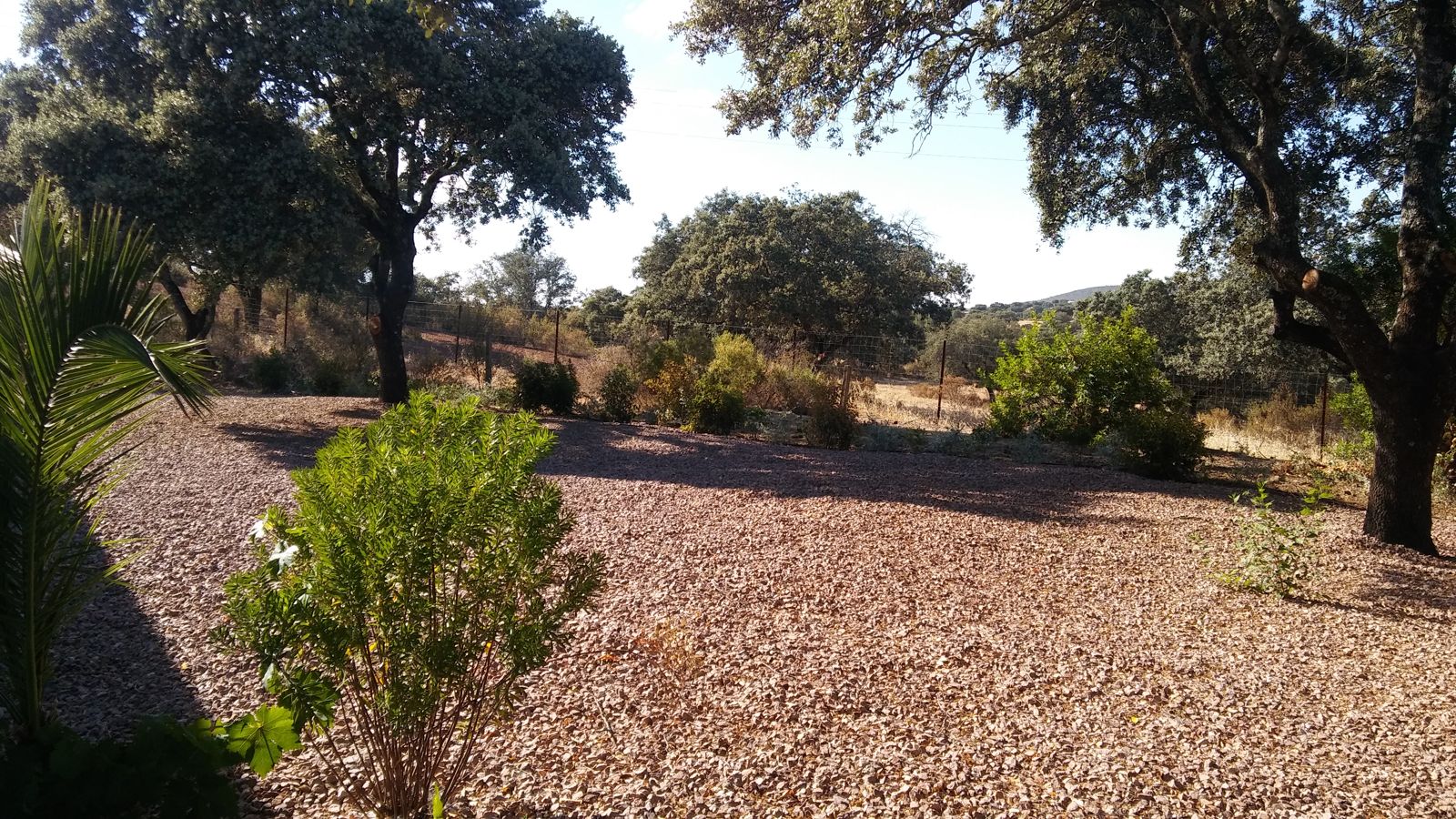 Paisajismo naturalizado en finca junto al embalse de Cala — detalle 5