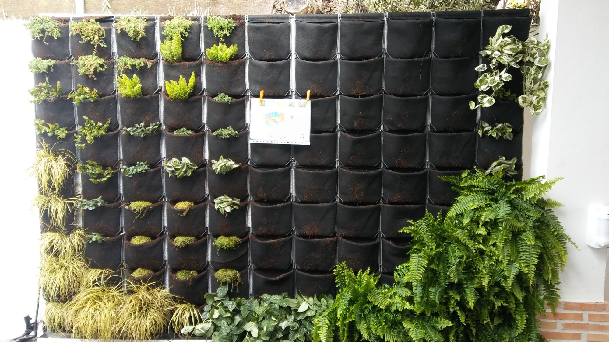 Jardín vertical en la Alquería de Almanzor · Espartinas, Sevilla (imagen 6)