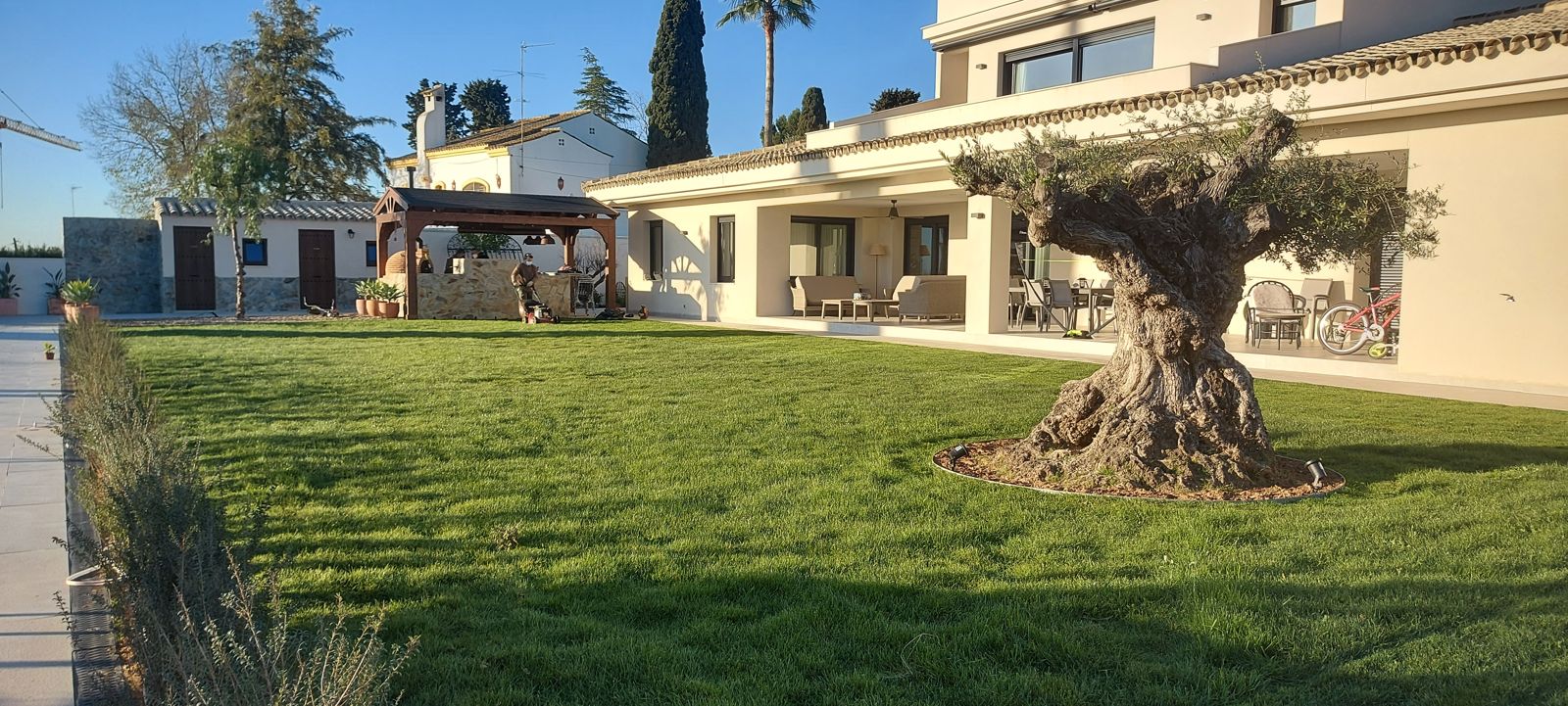 Jardín en los Villares Altos — detalle 6