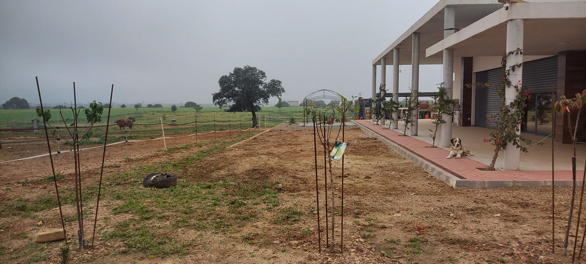 Paisajismo de finca rural en El Ventanar — Carmona, Sevilla · fotografía 1