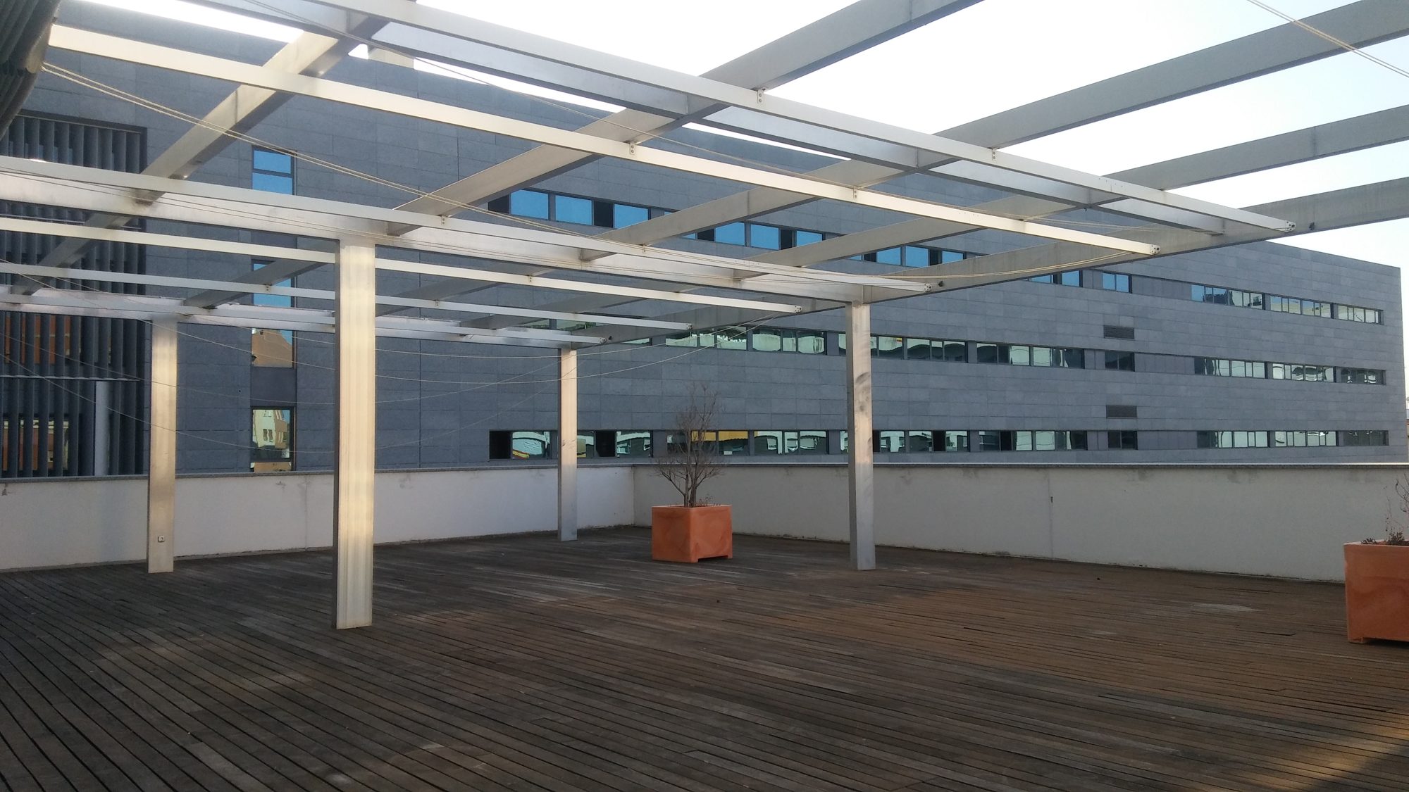 Oficinas ODF Insur — paisajismo de Verde Consciente en Sevilla (1)