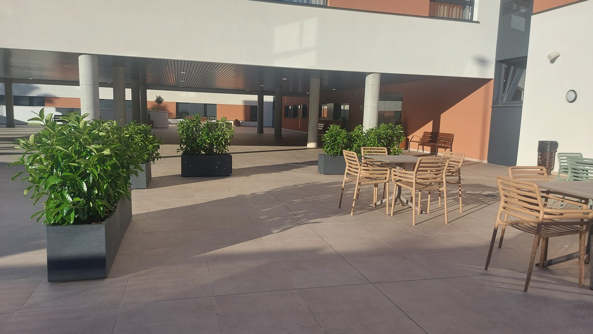 Jardín terapéutico Residencia Reifs — paisajismo de Verde Consciente en Sevilla (1)