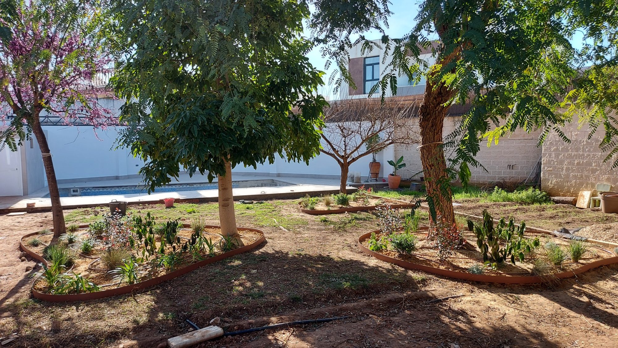 Renovar un jardín consolidado en Dos Hermanas · Dos Hermanas, Sevilla (imagen 1)