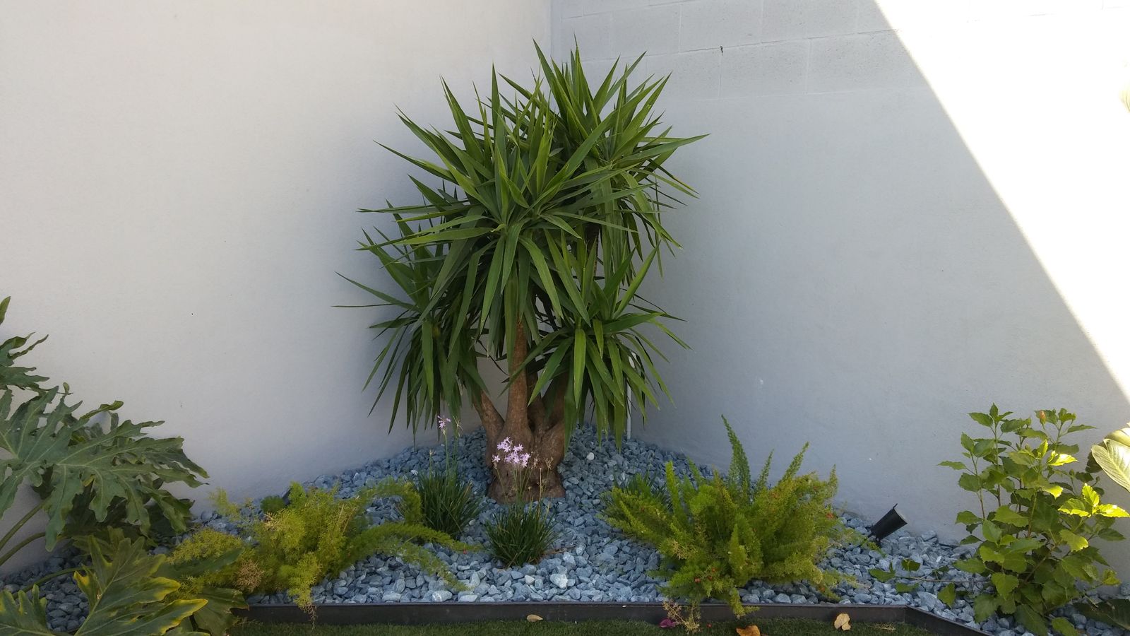 Jardín pequeño en Tomares — detalle 4