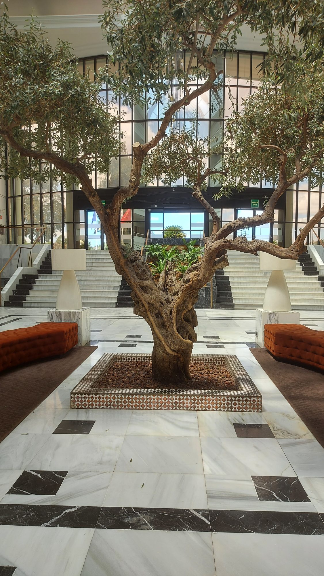 Exteriores del Hotel Alcora — paisajismo de Verde Consciente en San Juan de Aznalfarache (3)